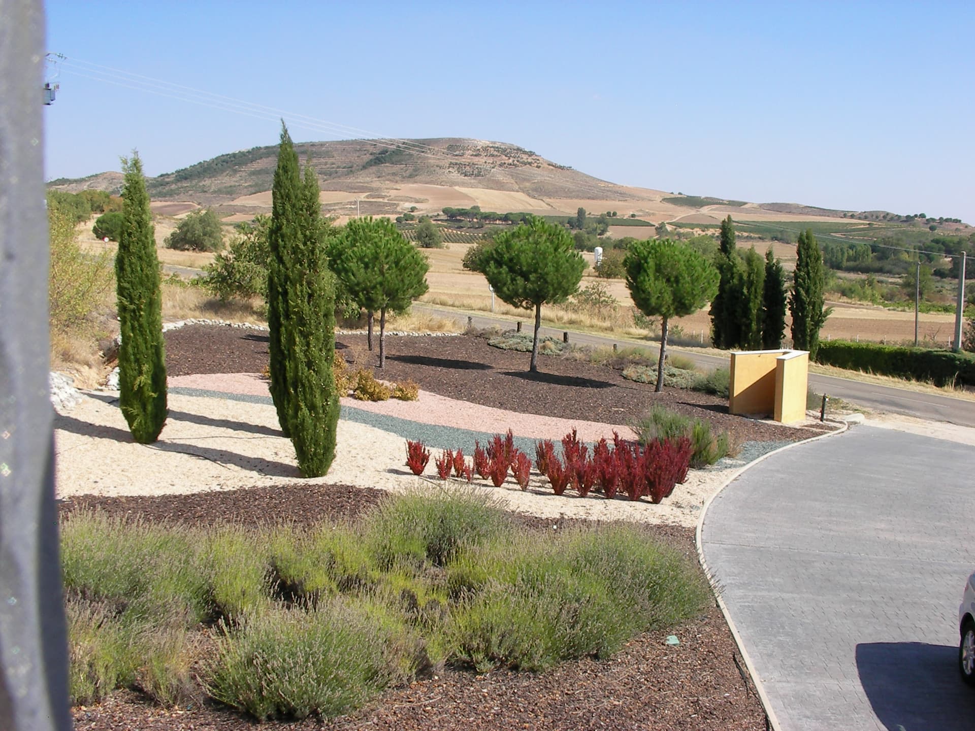 Bodegas Viyuela foto 4