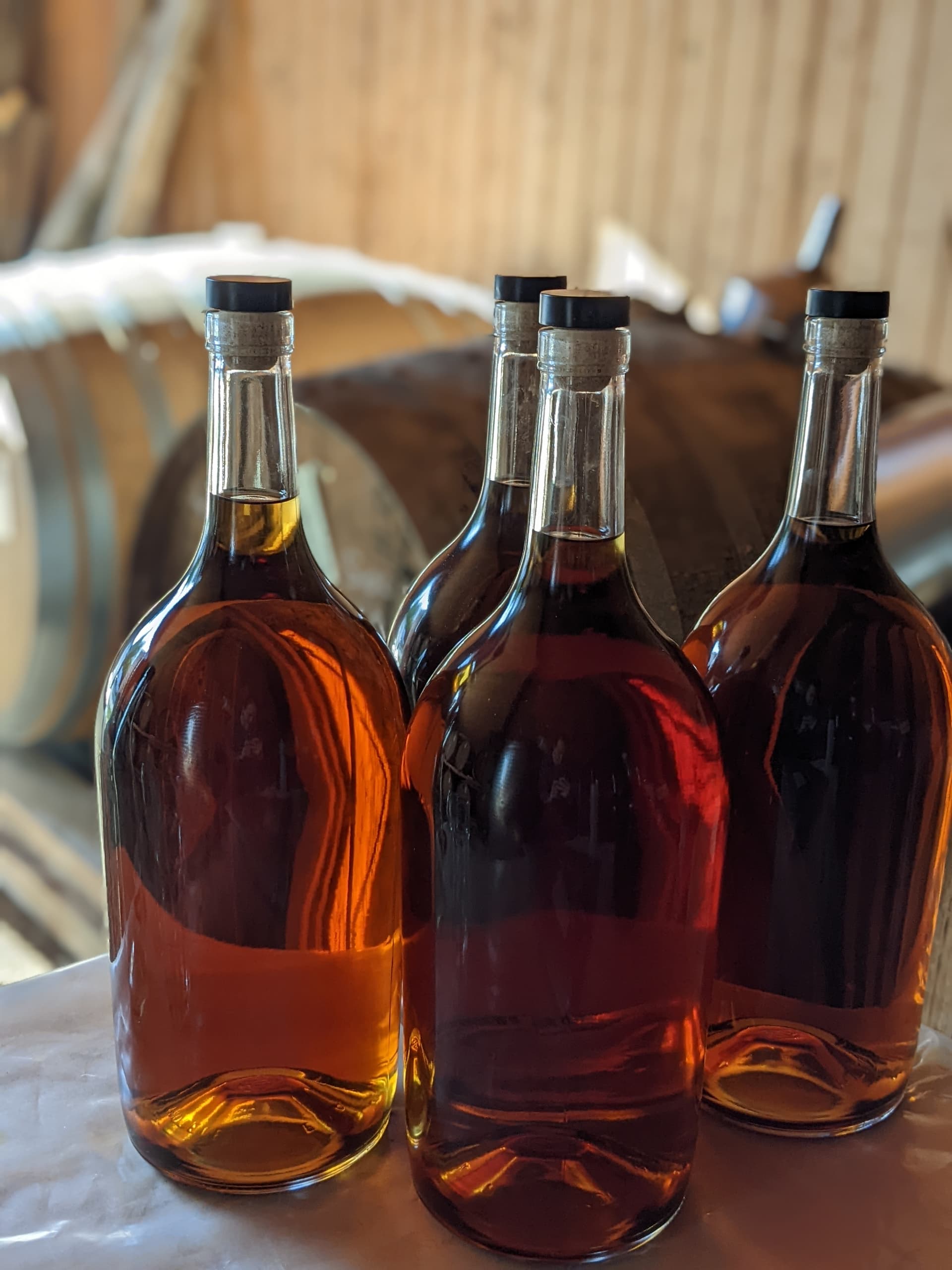 Degustazione di vini al Domaine de Pajot