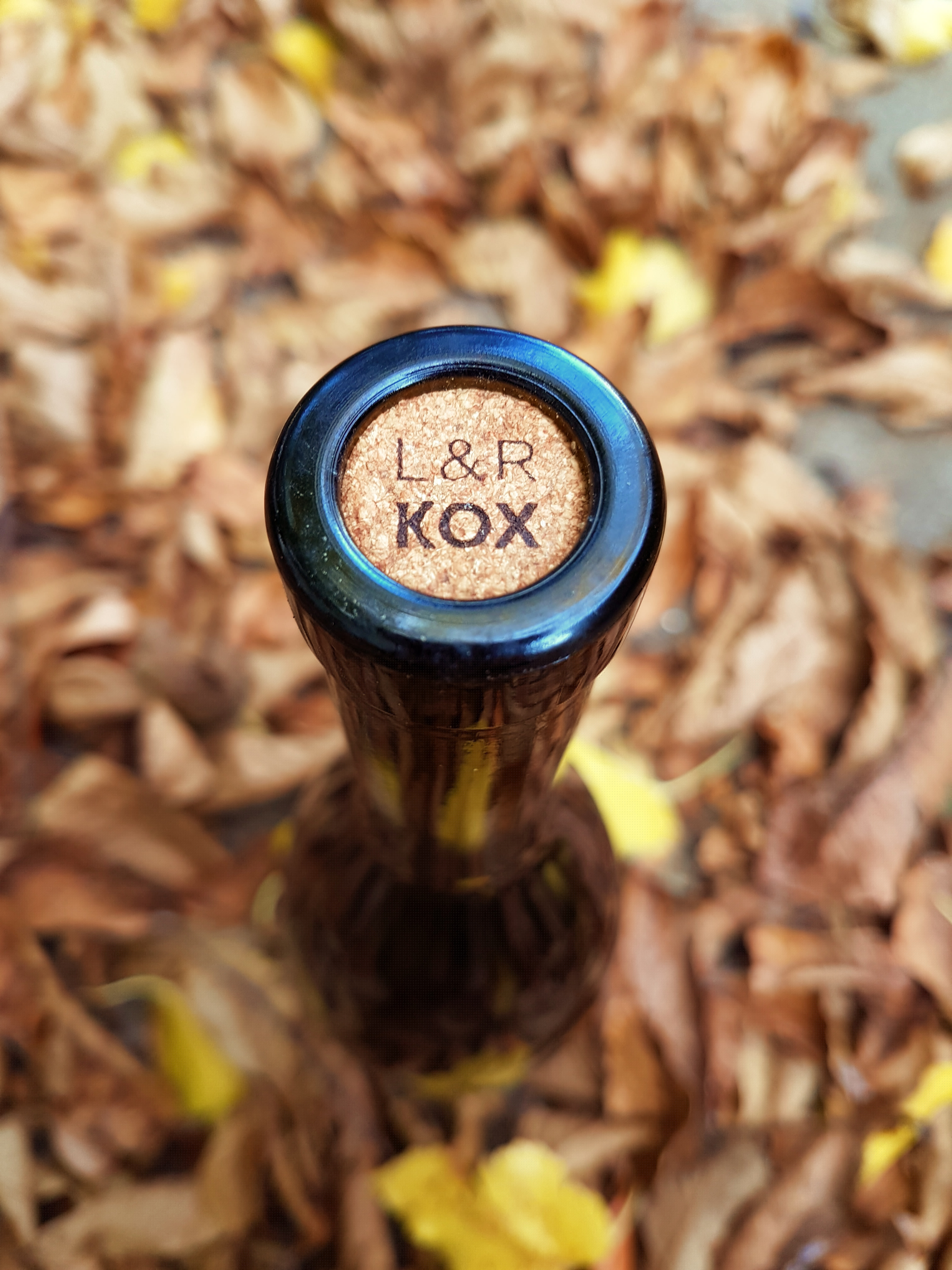 Cata de vinos a ciegas en Domaine Kox foto 2