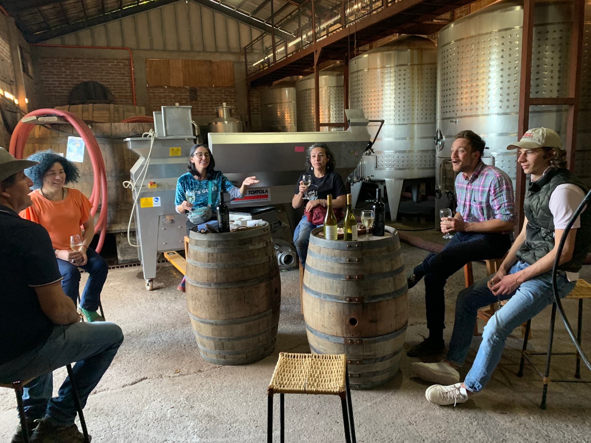 Personalisierte Verkostungstour mit einem Weinberg-Agronomen Foto 2