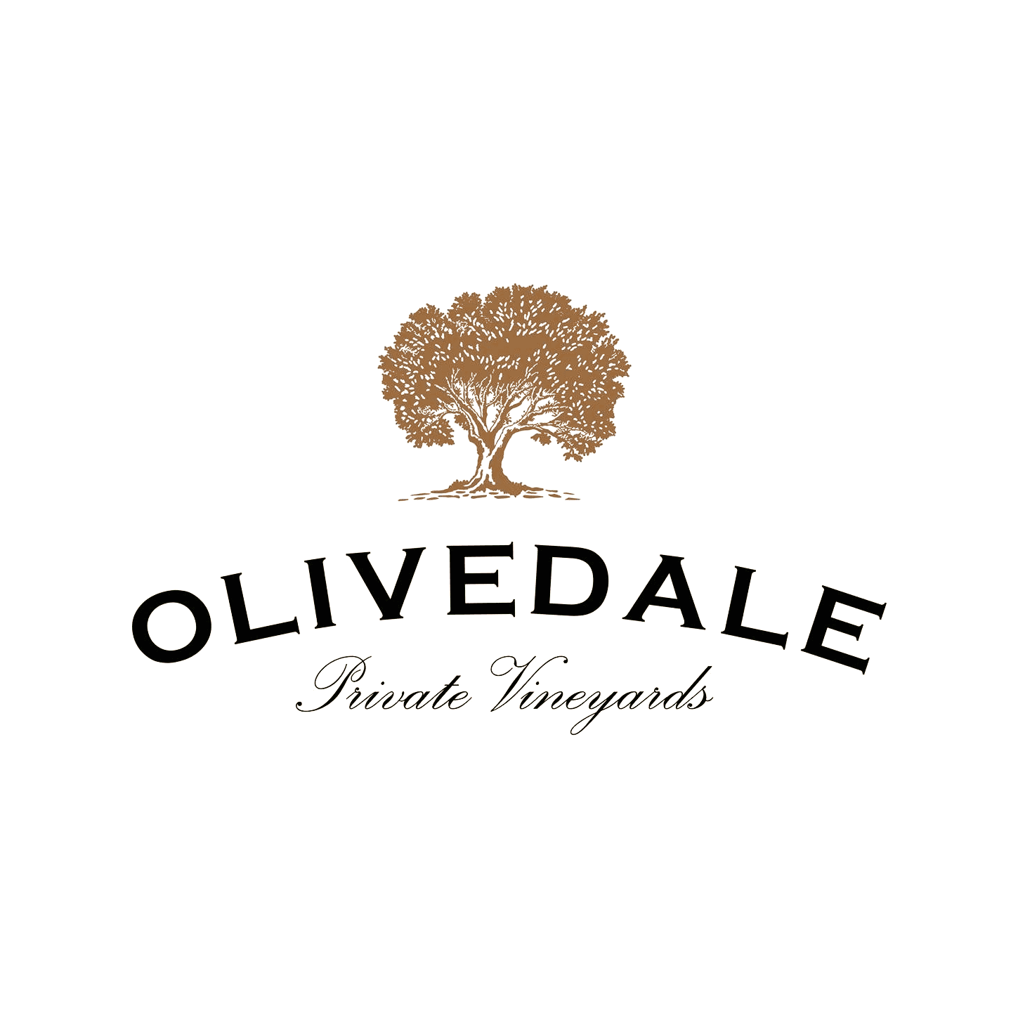Olivedale Vineyards in evidenza
