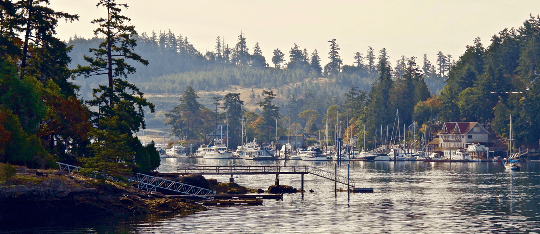 Cove Marina