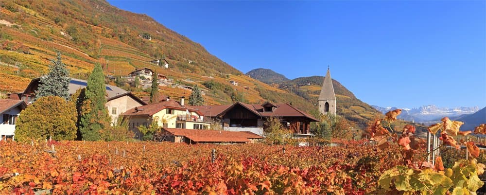 Weingut Plonerhof - St. Magdalena photo 2