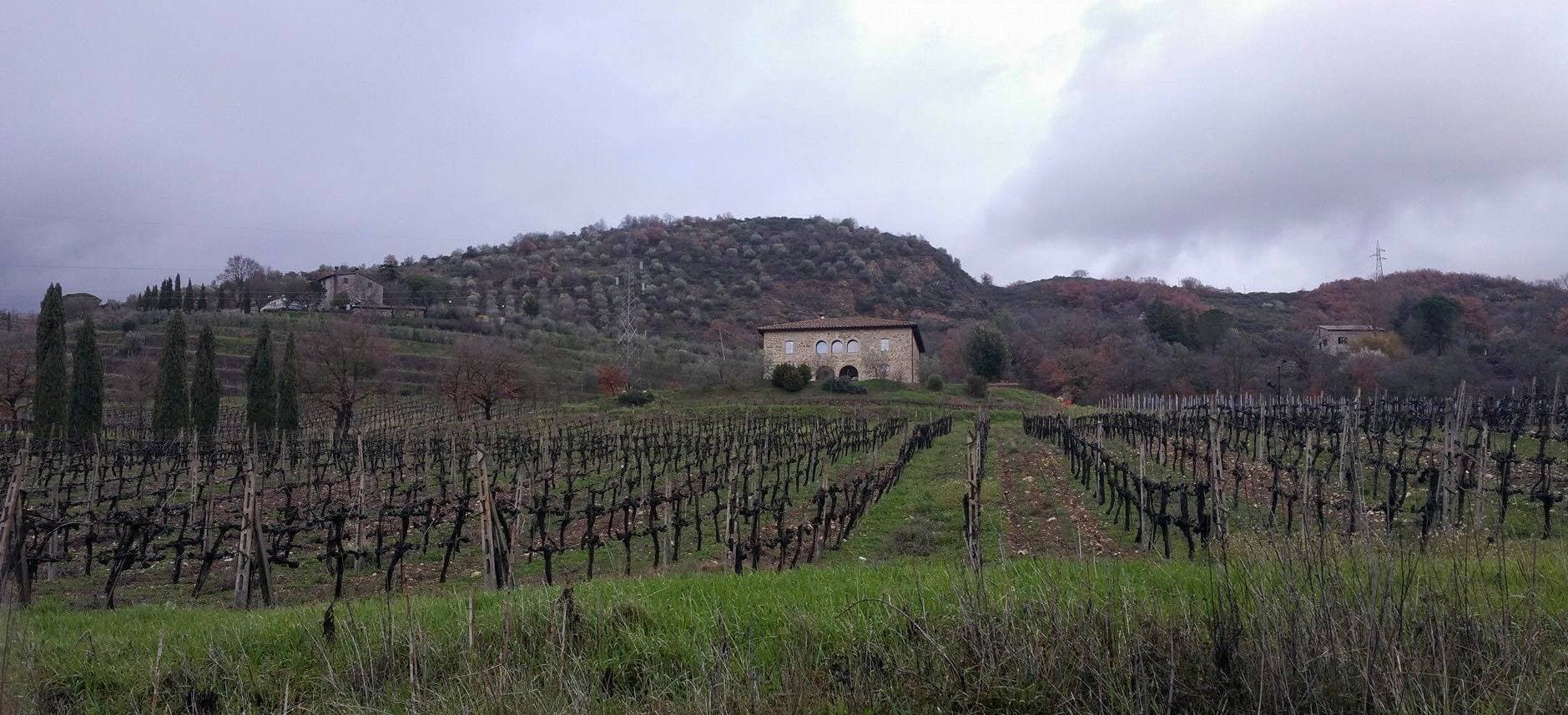 Murogrosso Winery foto 5