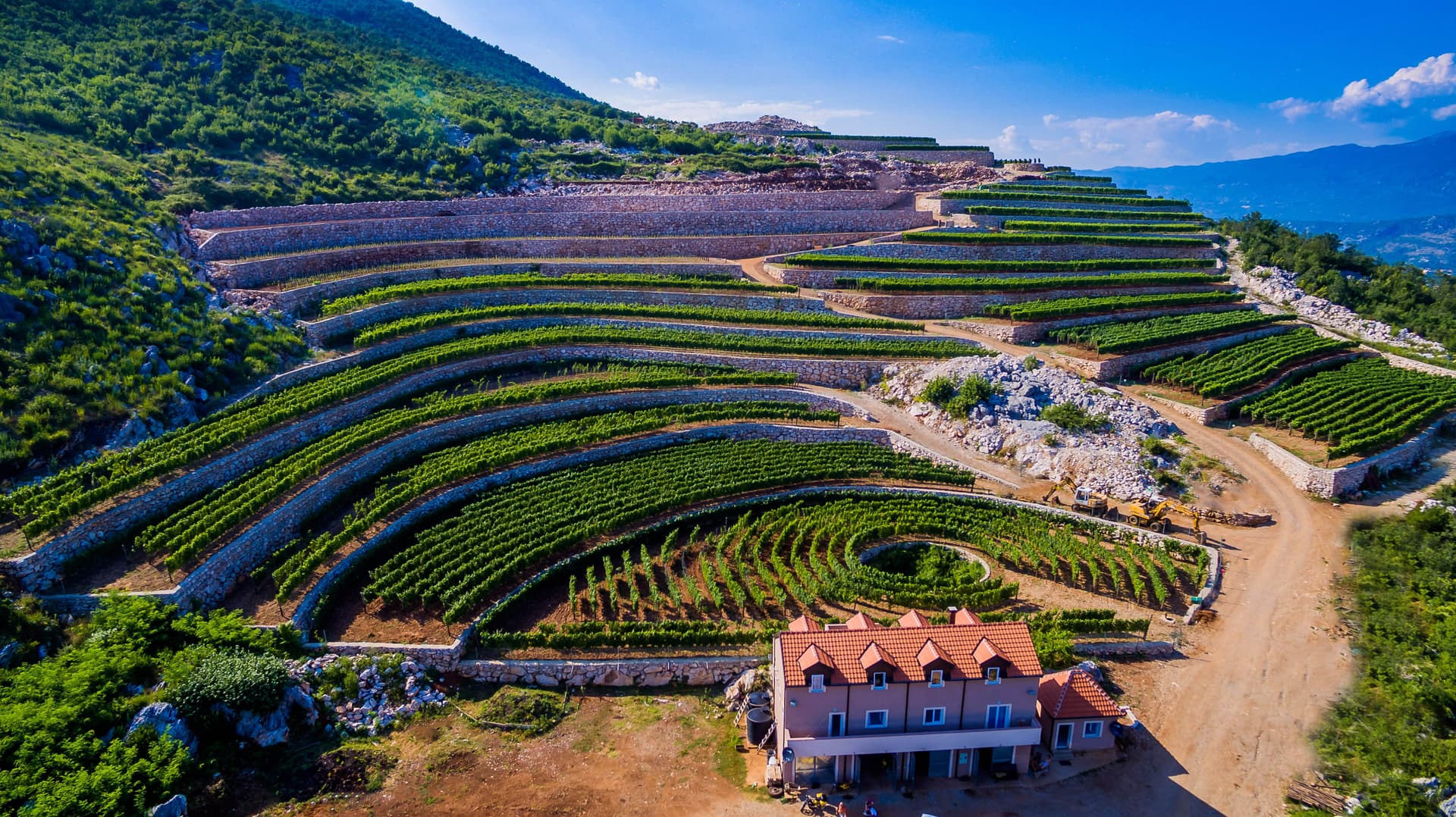 Lipovac Winery foto 2