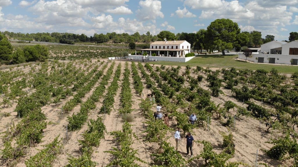 Wine Tasting at Bodega Finca Cor Vi photo 4