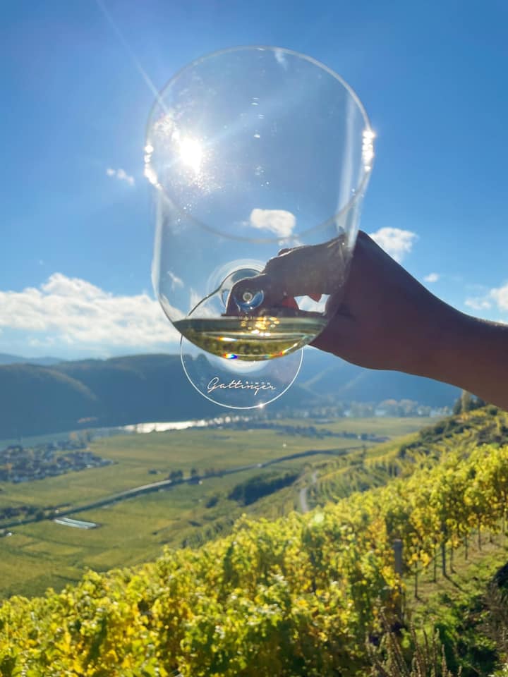 Visita e degustação no Weingut Gattinger foto 3