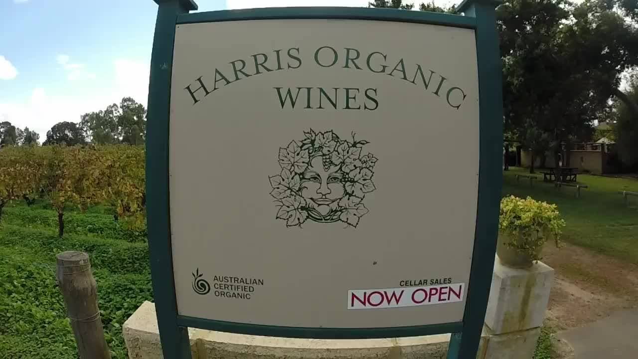 Organic Wine Journey: Western Australia's Swan Valley photo 4