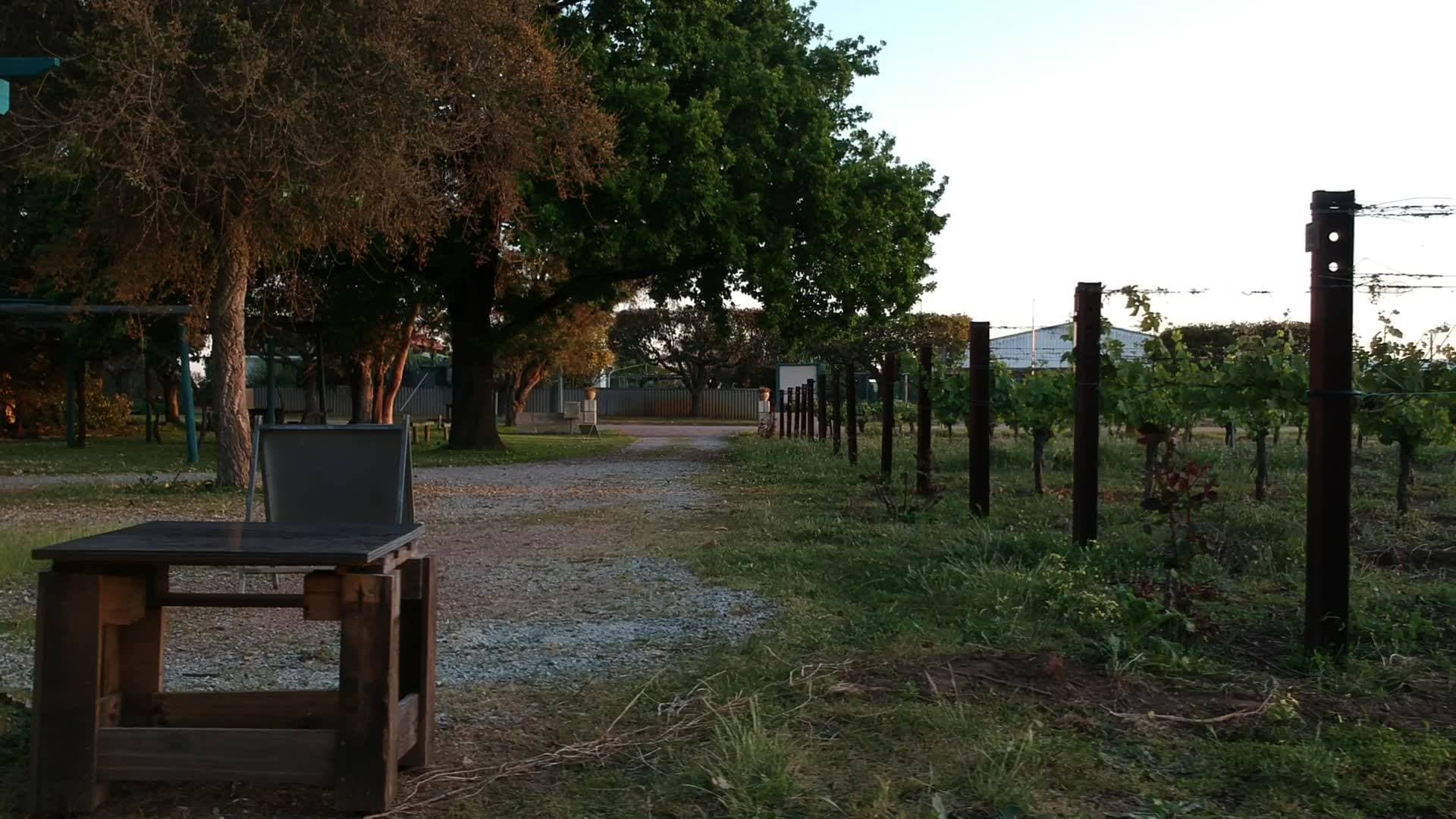 Organic Wine Journey: Western Australia's Swan Valley photo 3