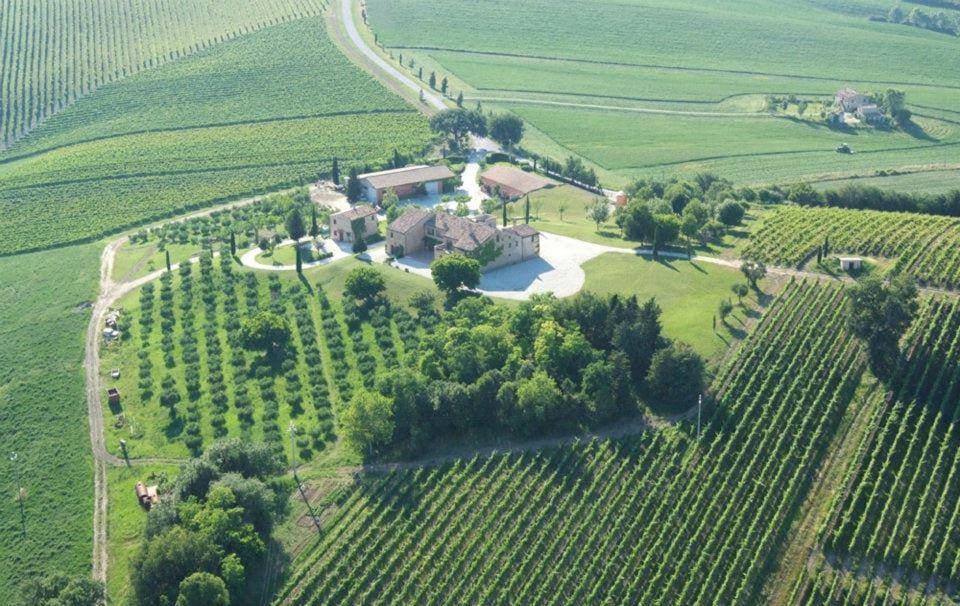 Dégustation et visite de vins à La Prova photo 3