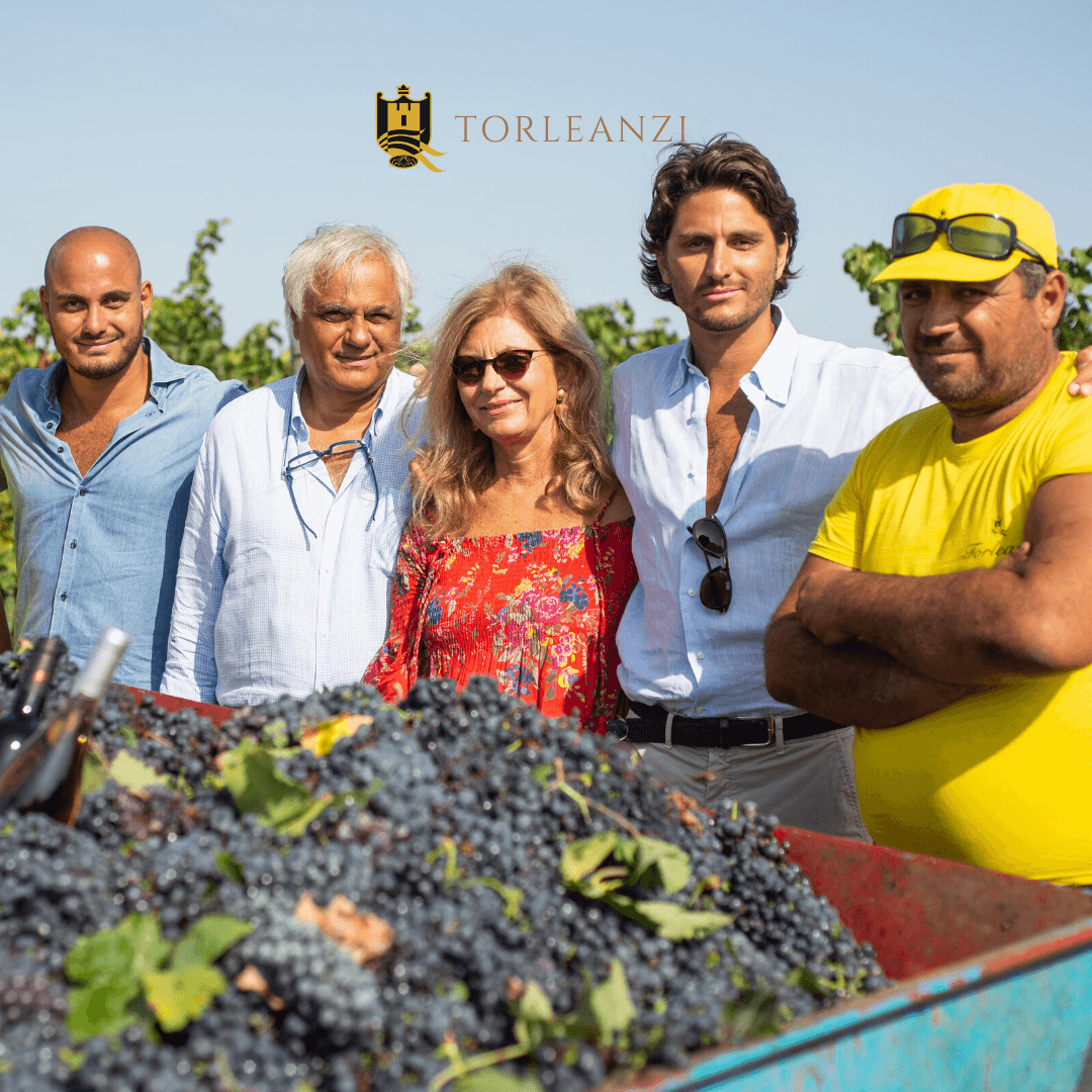 Torleanzi Wine Experience - degustação guiada de vinhos… foto 3