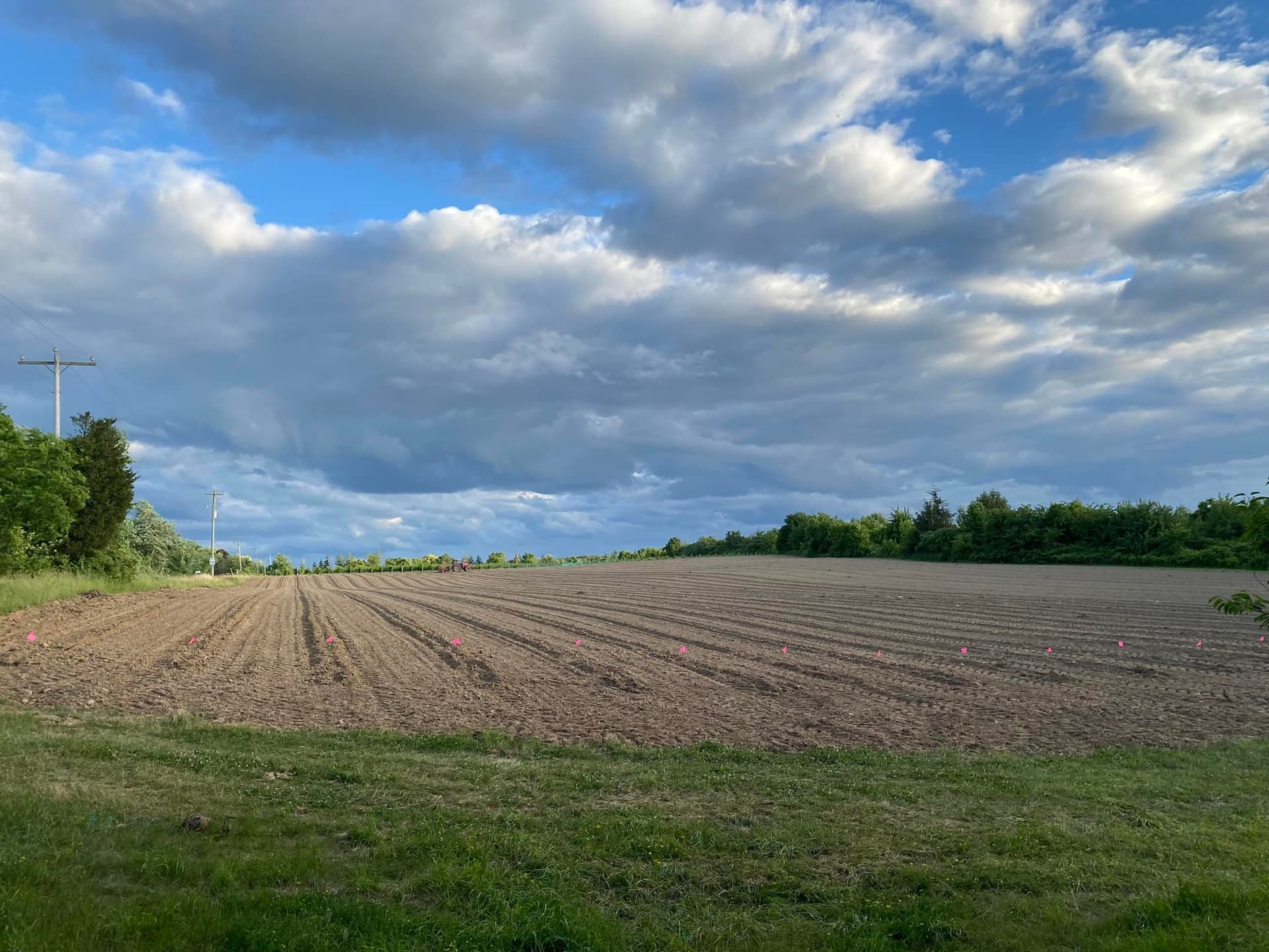 Calamus Estate Winery foto 4