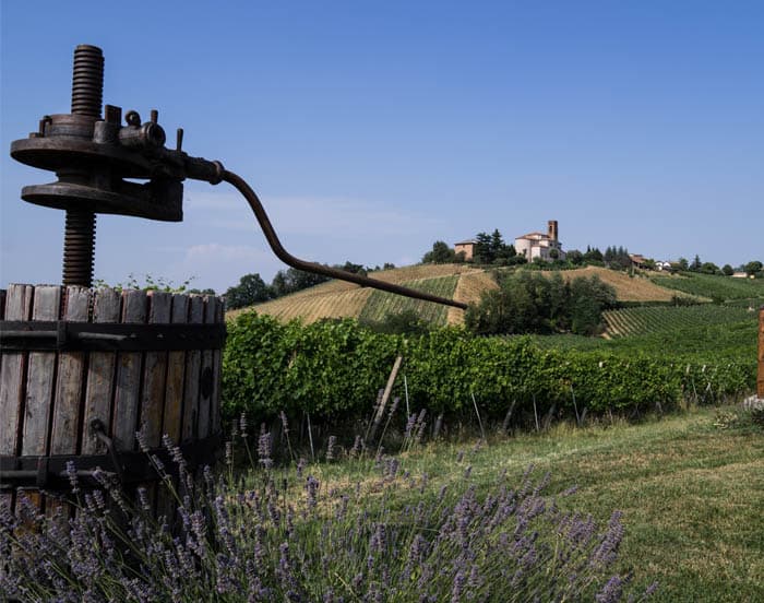 Point fort de La Costanza Winery