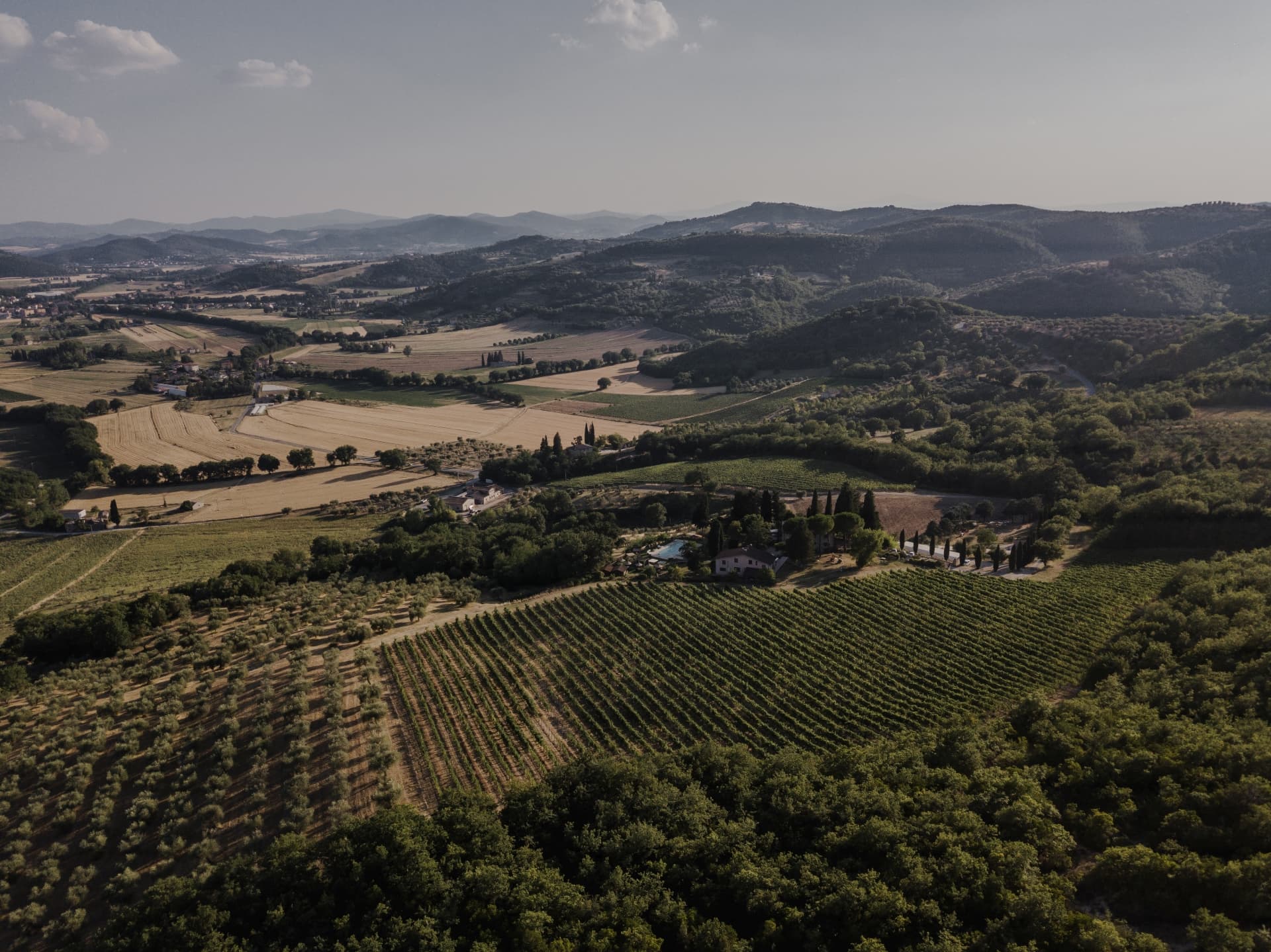 Casali del Toppello Winery foto 3