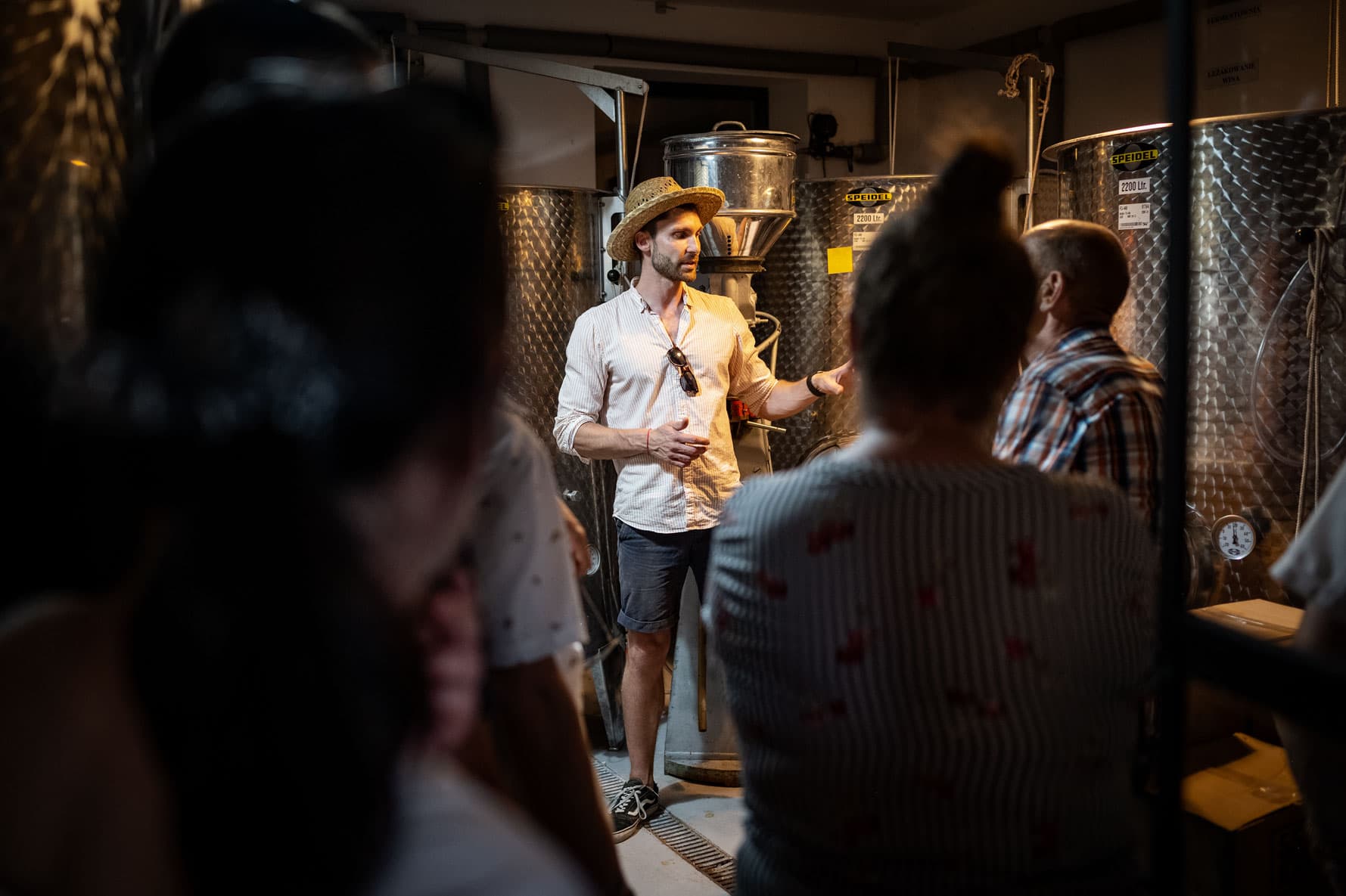 Degustazione di vini a Winnica 55-100 foto 5