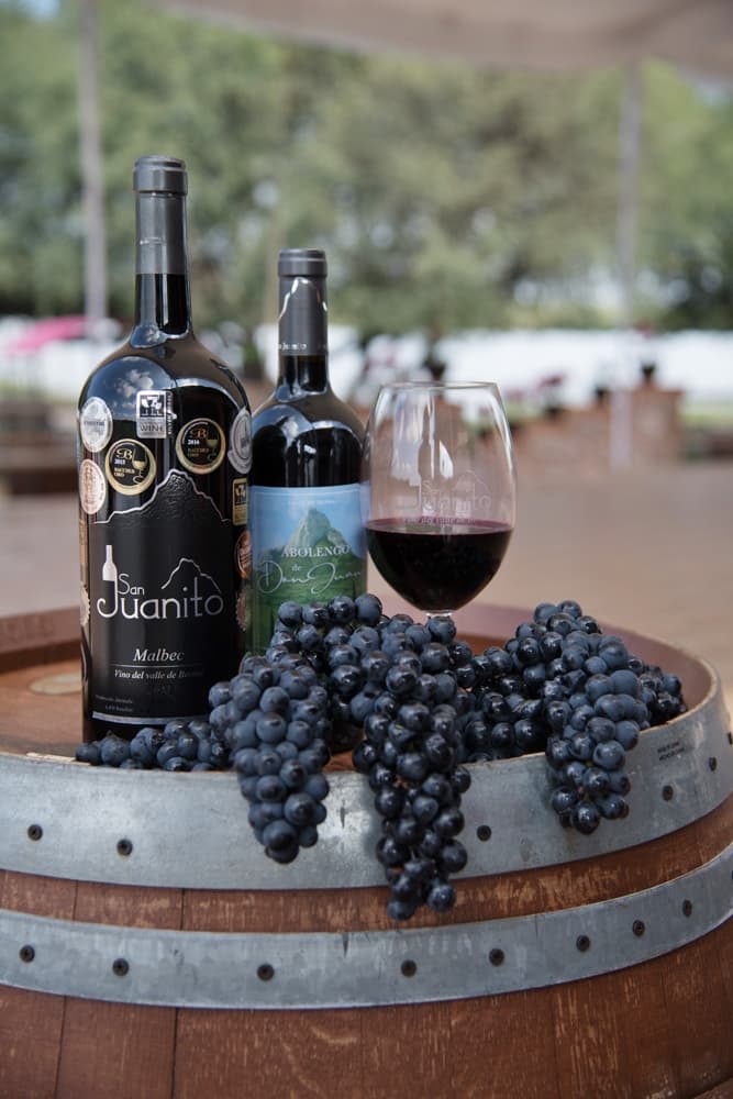 San Juanito Winery foto 3