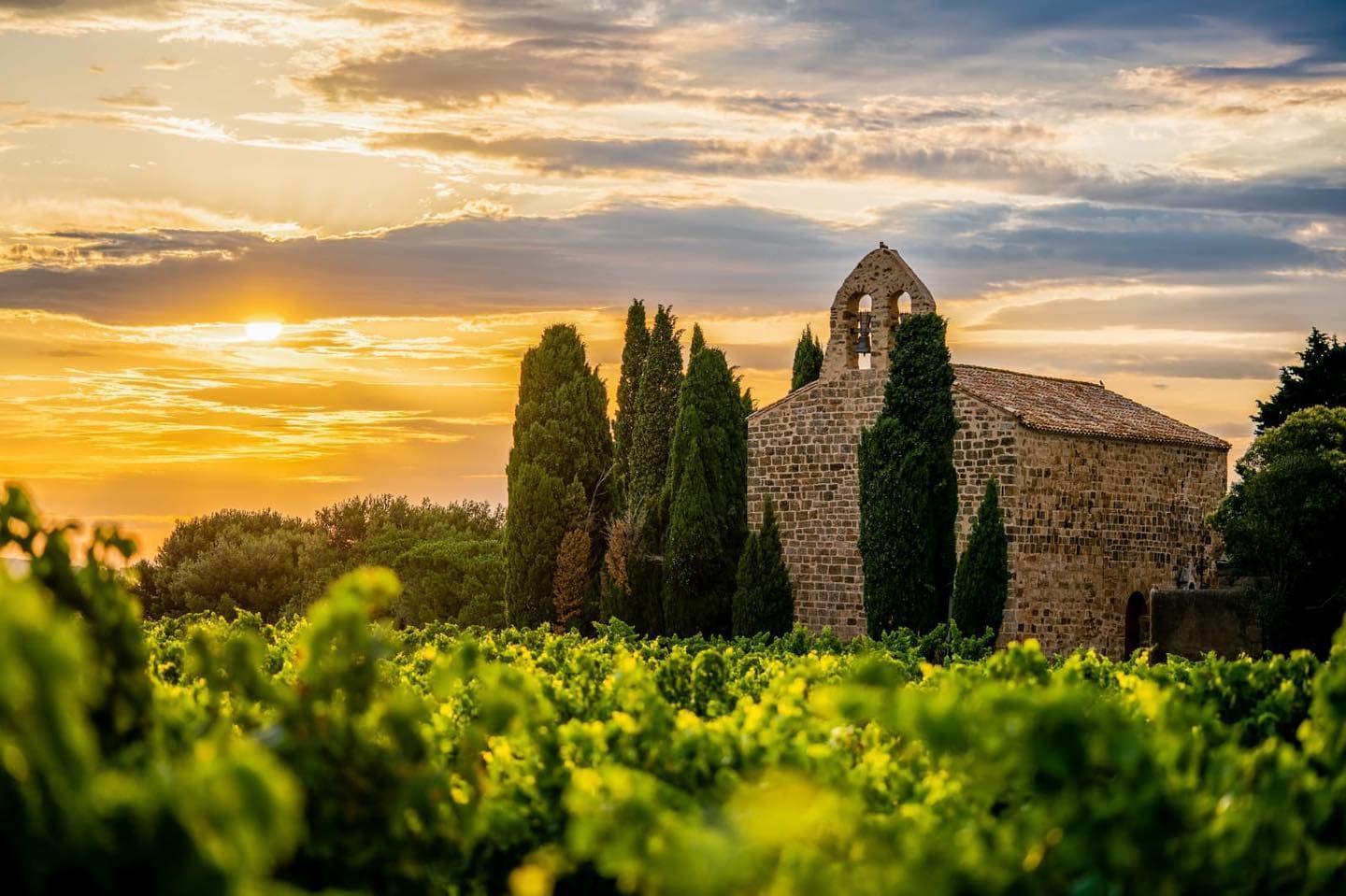 Château de Luc - Famille Fabre foto 4