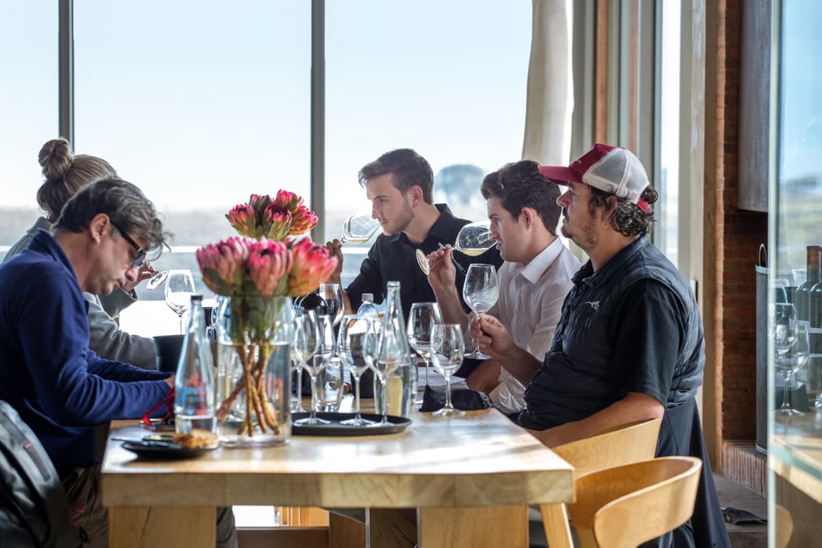 Coastal Cape Single-Varietal Wine Journey at Idiom photo 3
