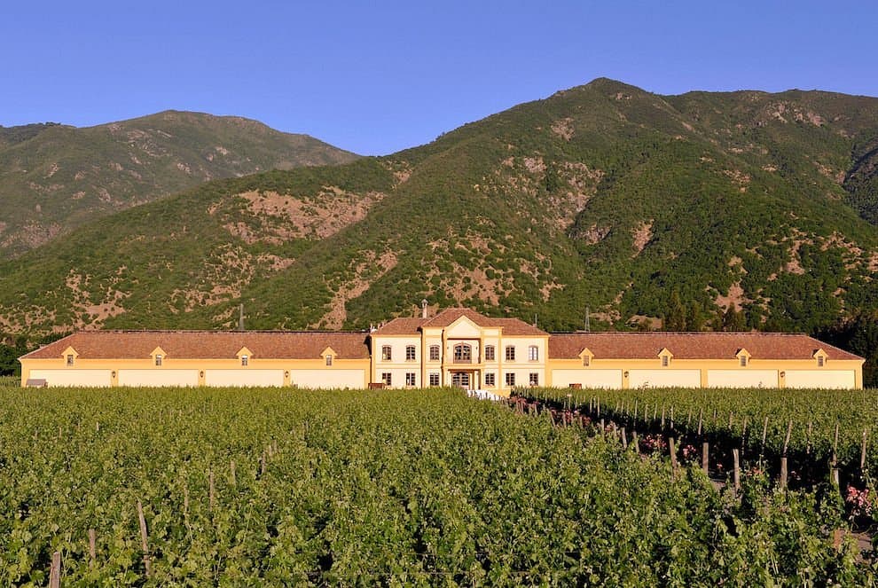 Central Valley Vineyard Walk & Wine Tasting photo 3