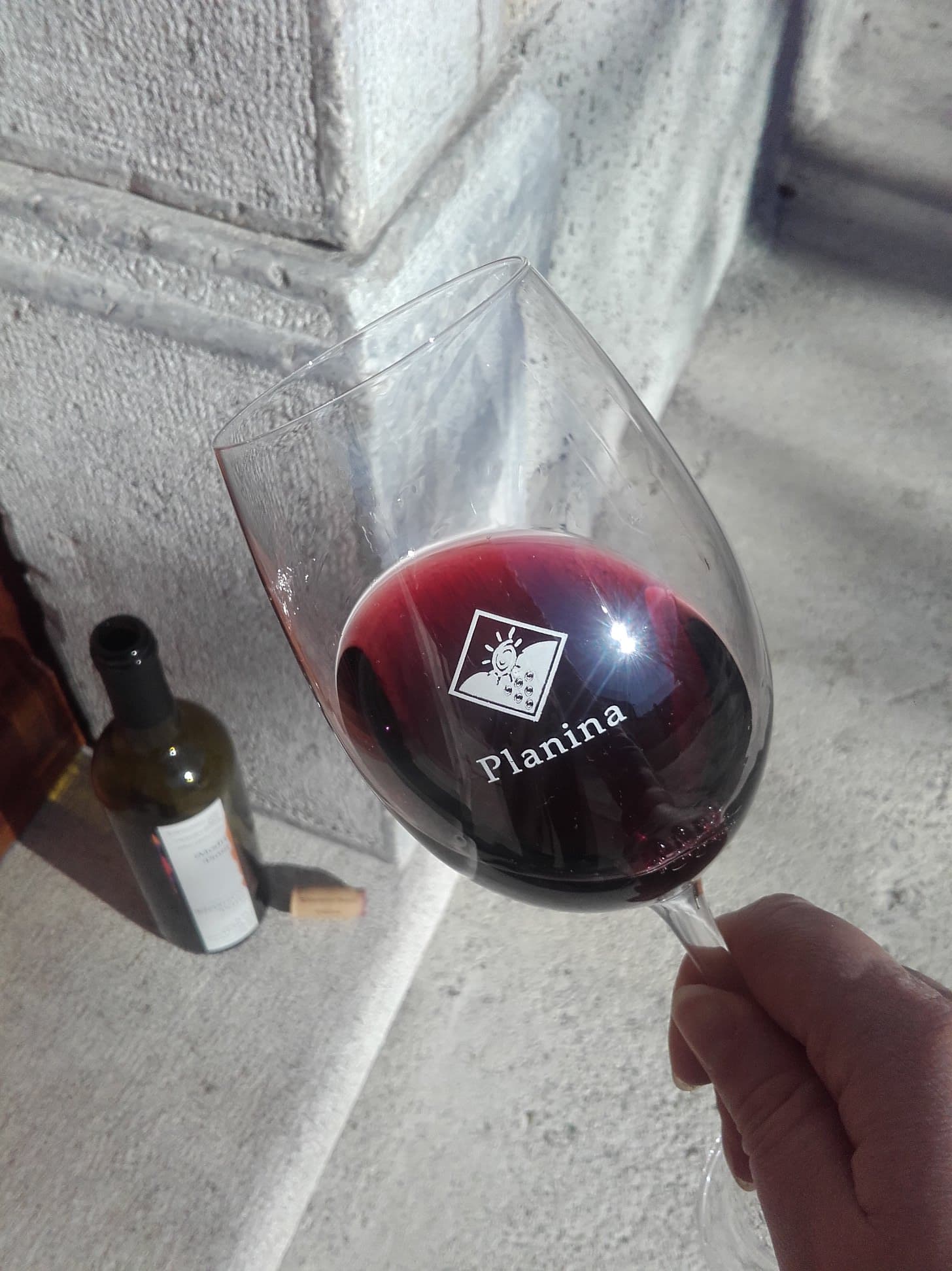 Weinprobe im Kletarstvo Petrič Foto 2
