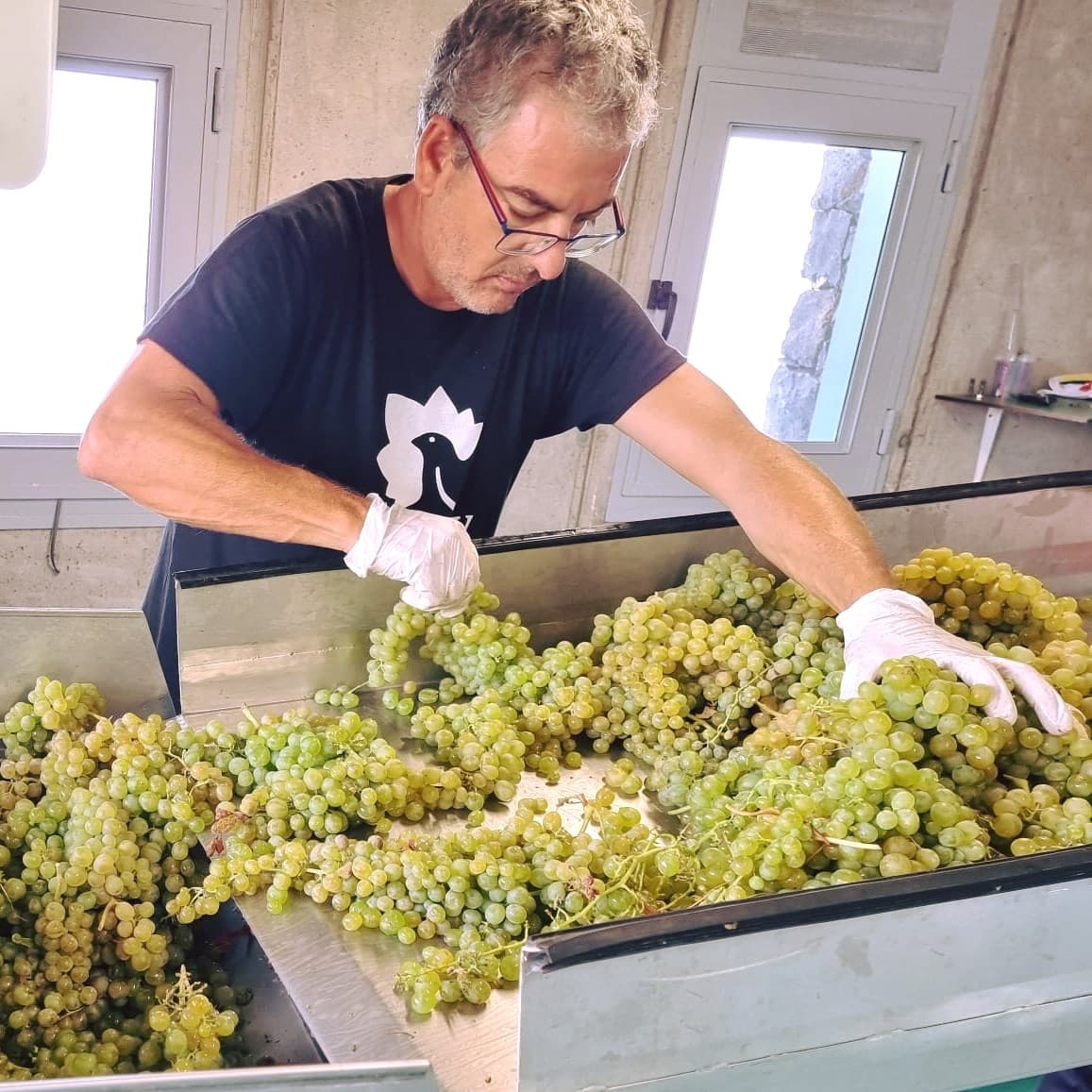 Visita guidata speciale con degustazione a Bodegas El Sitio foto 4