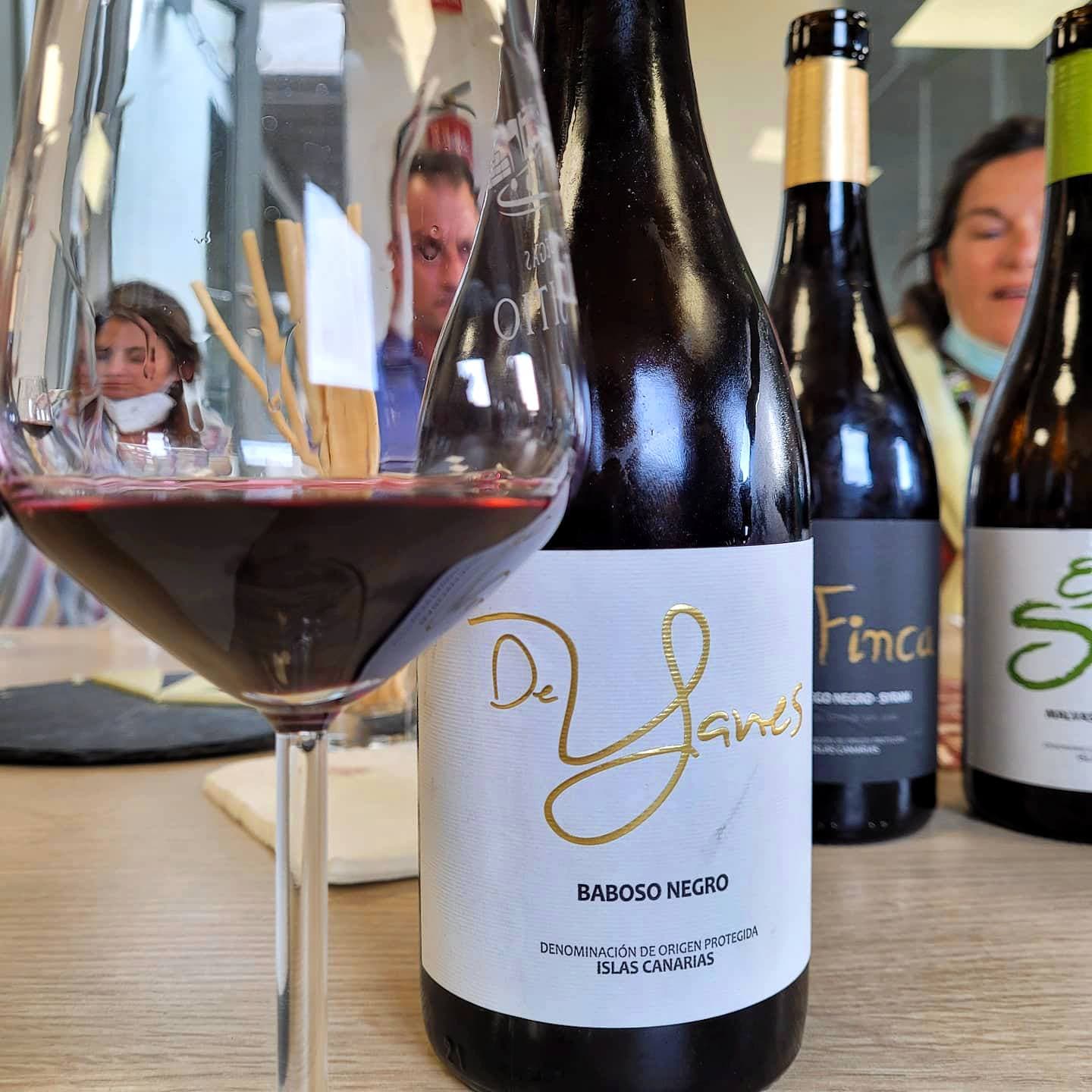 Visita guidata speciale con degustazione a Bodegas El Sitio foto 3