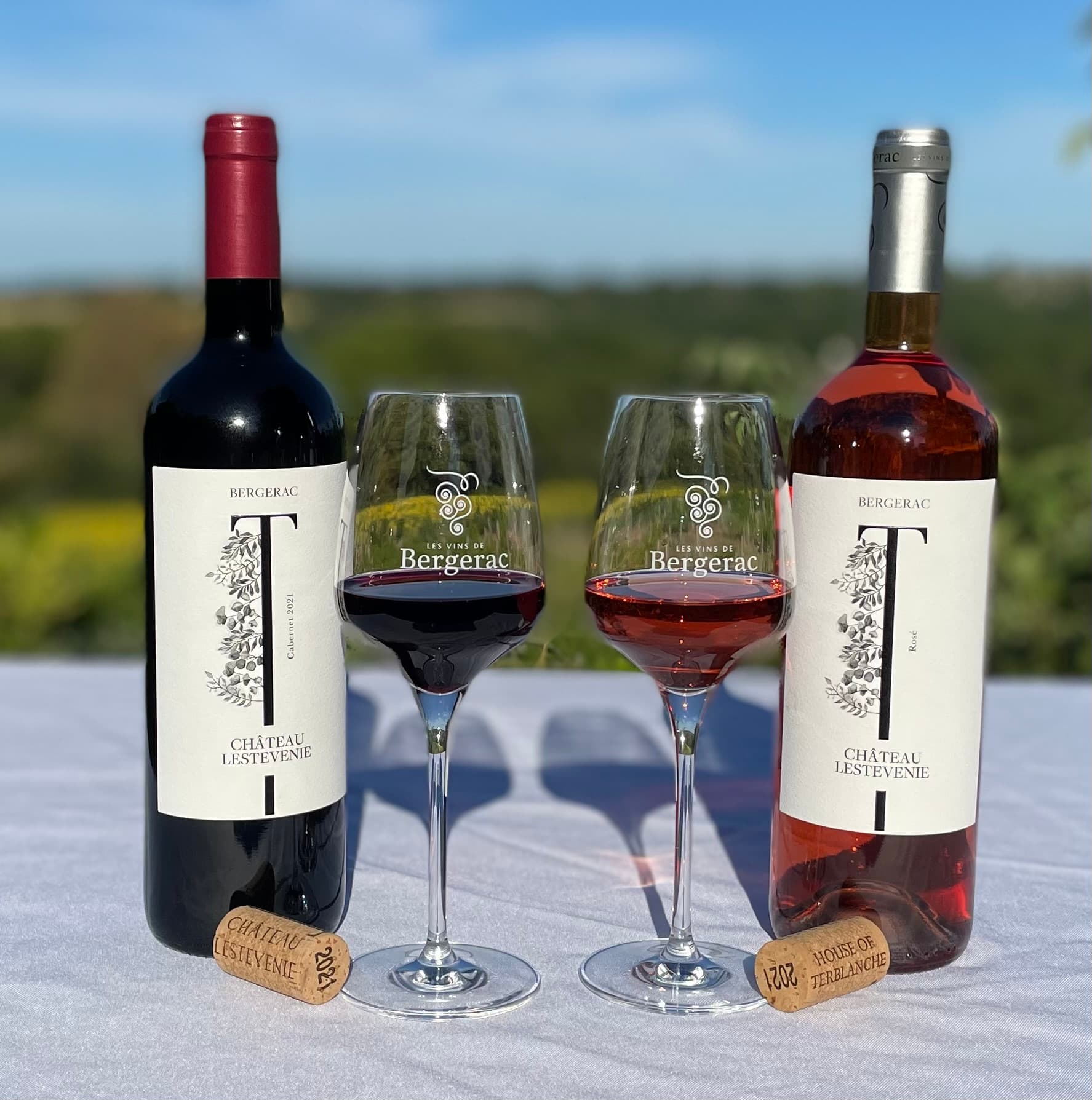 Wine Tasting and Tour at Chateau Lestevenie photo 2