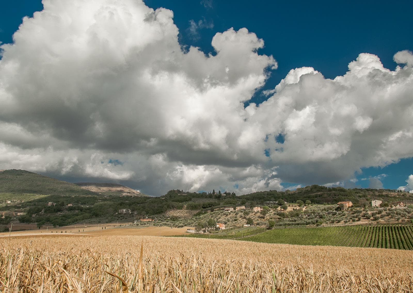 Azienda Agraria Carlo e Marco Carini photo 4