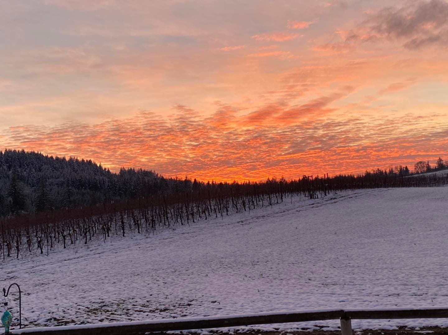 Weinprobe im Weingut Sidereus Foto 4
