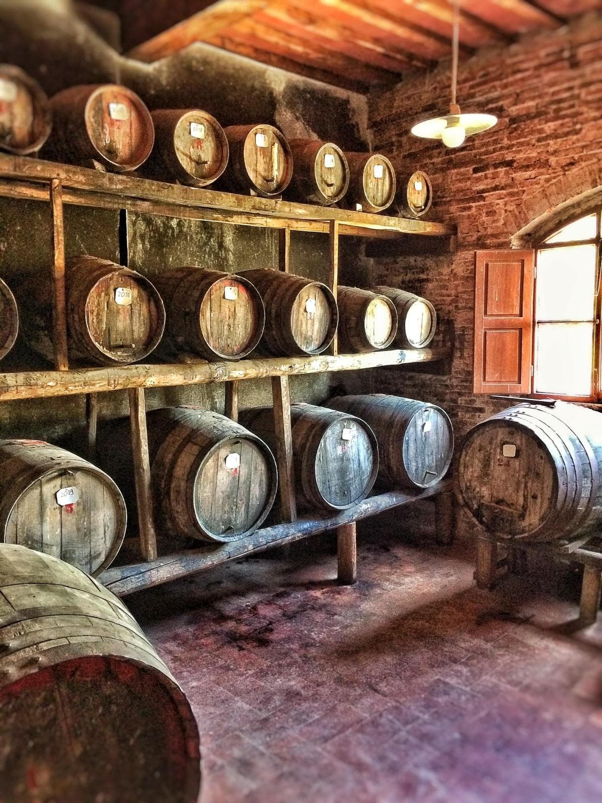 Tuscan Winery Tour & Tasting at Santa Vittoria