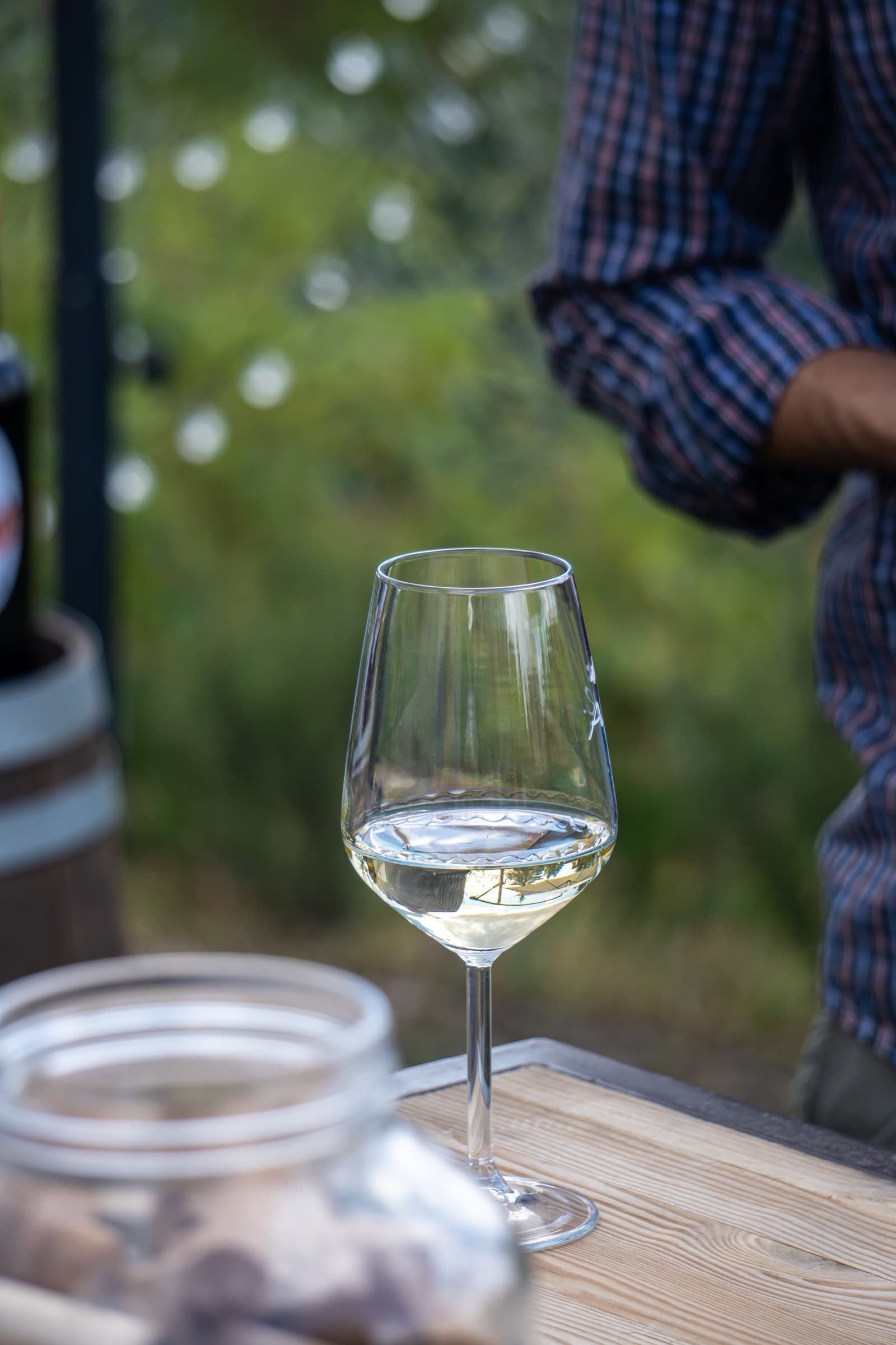 Caça às trufas e degustação de vinhos no Zerbosco Wine & Tasting