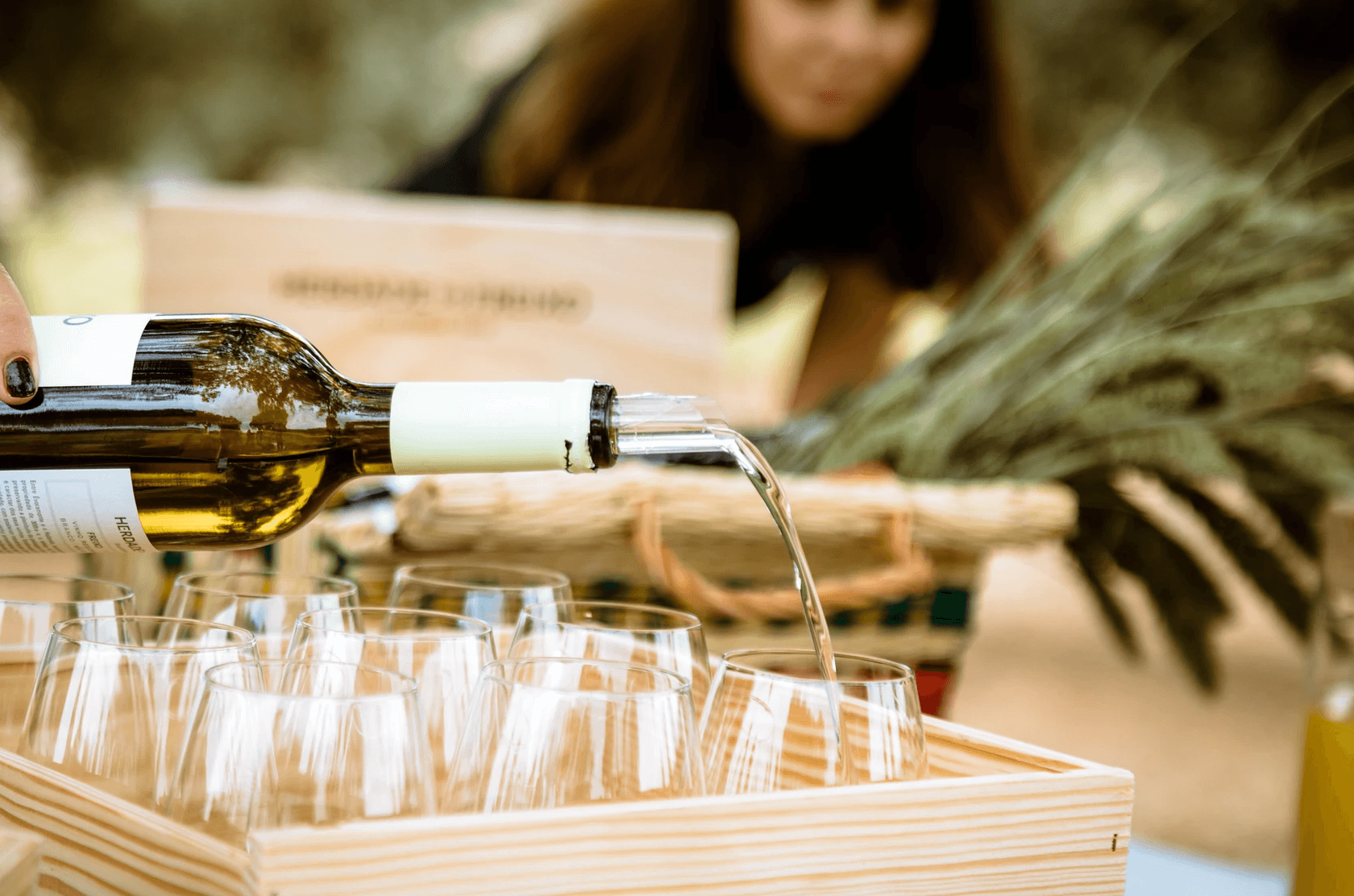 Alentejo Winery Tour & Premium Tasting at Herdade do Freixo