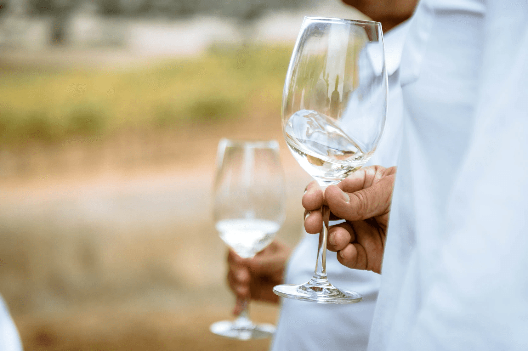 Alentejo's Freixo Winery Tour & Premium Tasting