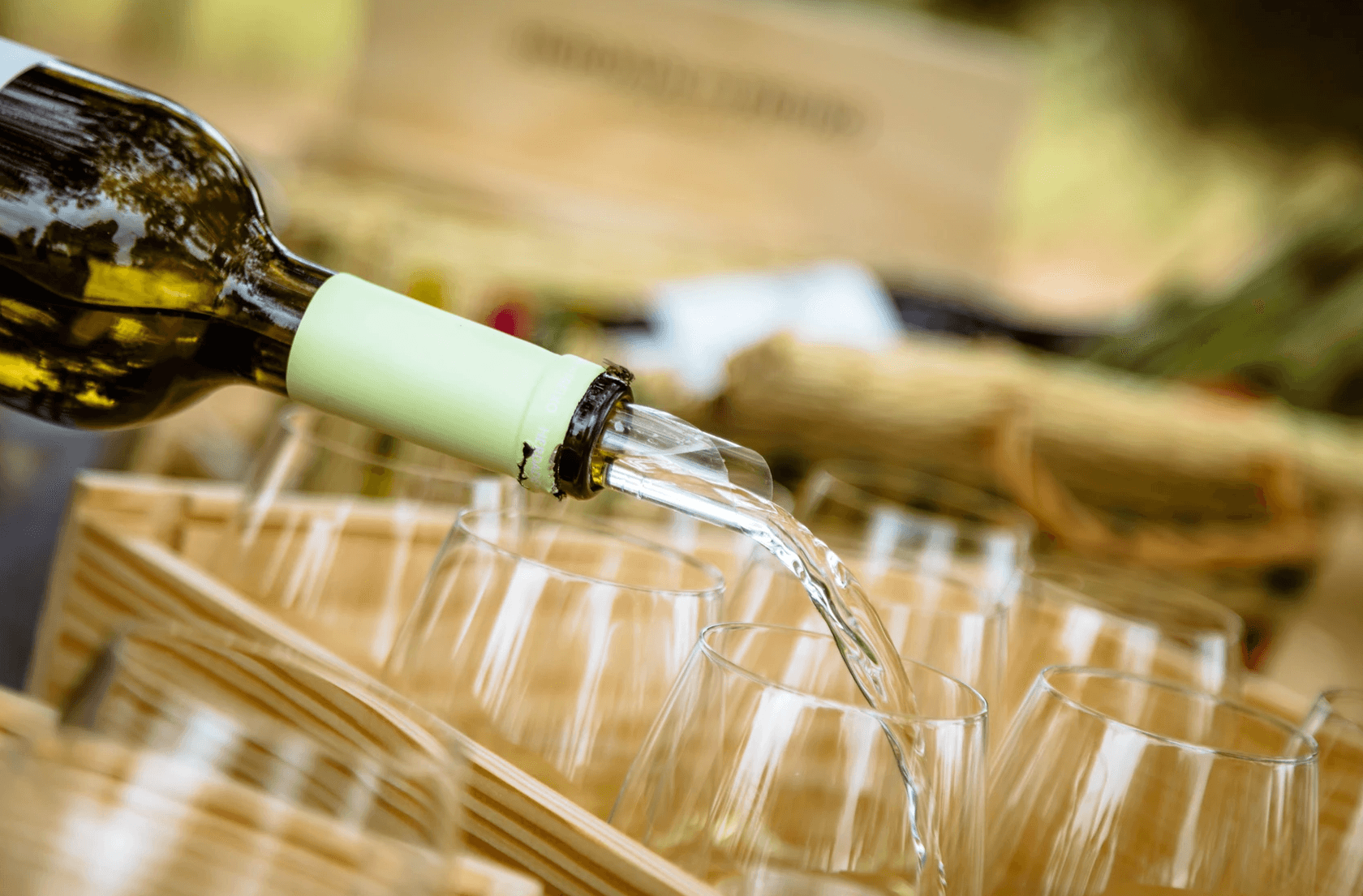 Alentejo Wine & Architecture Tour at Herdade do Freixo
