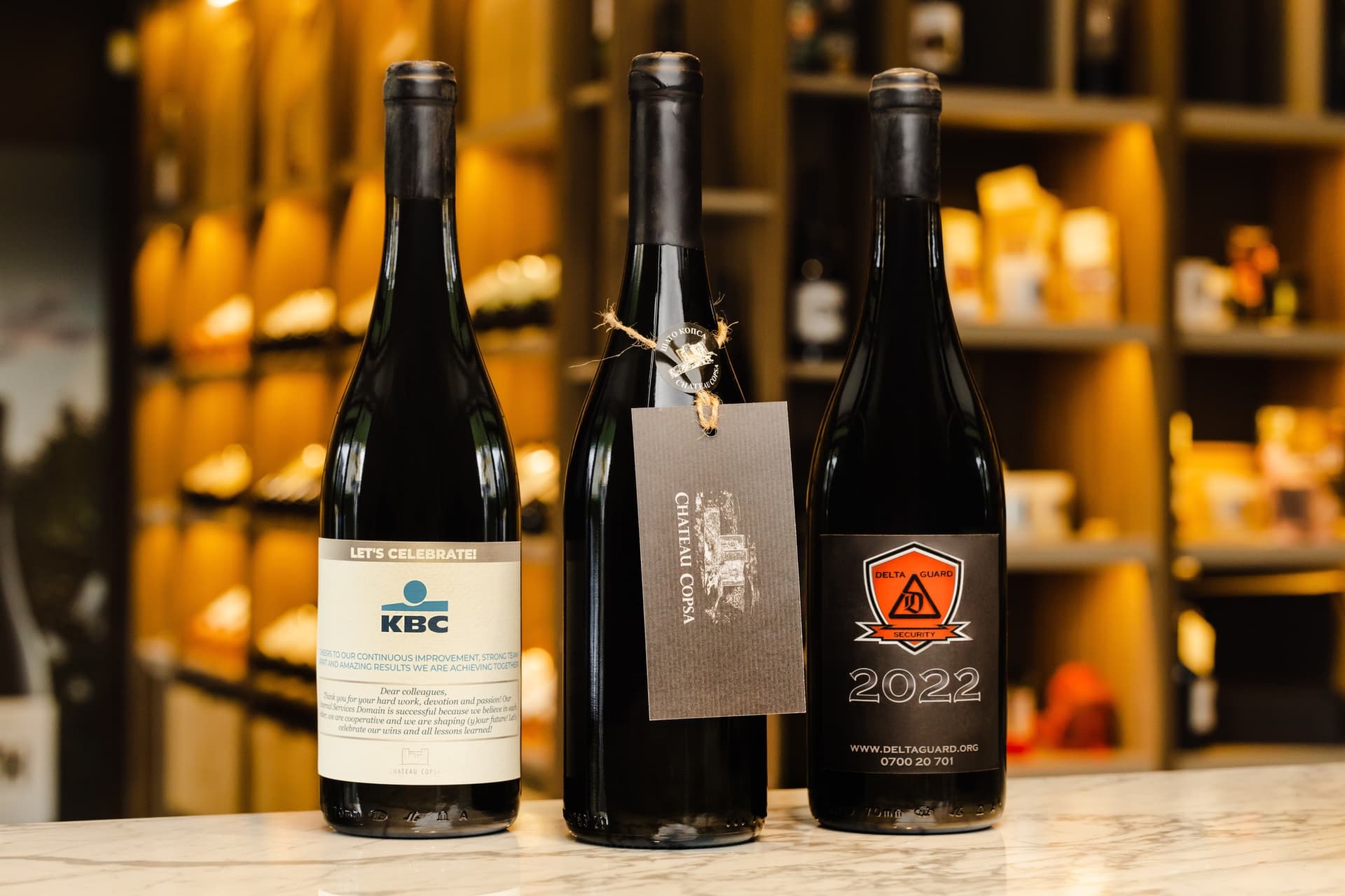 Cata de vinos Zeyla en el Château Copsa foto 3