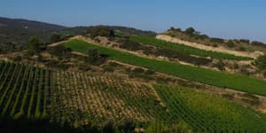 Château Maris: Authentic Wines from Languedoc foto 4