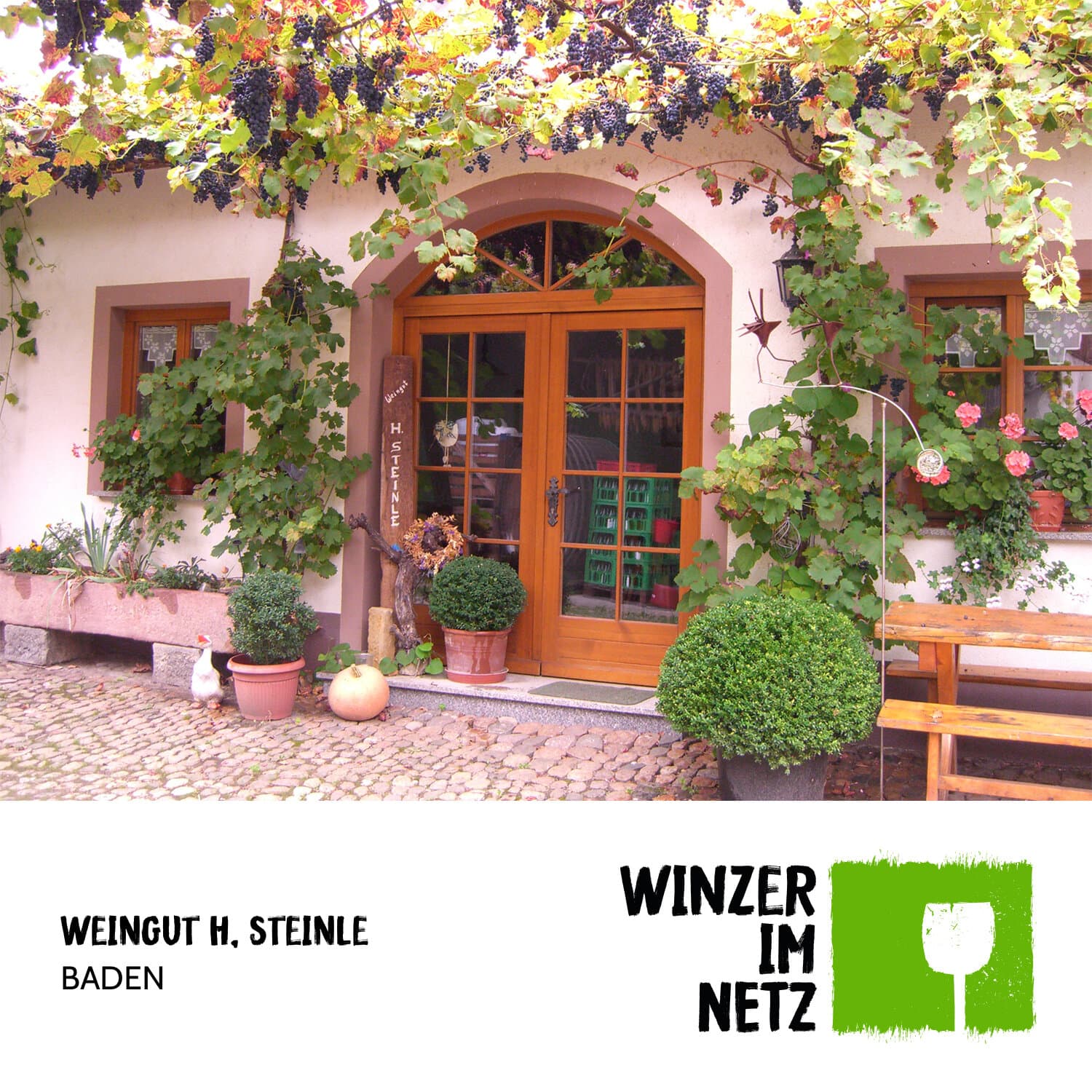 Baden Wine Bliss at Weingut H.Steinle