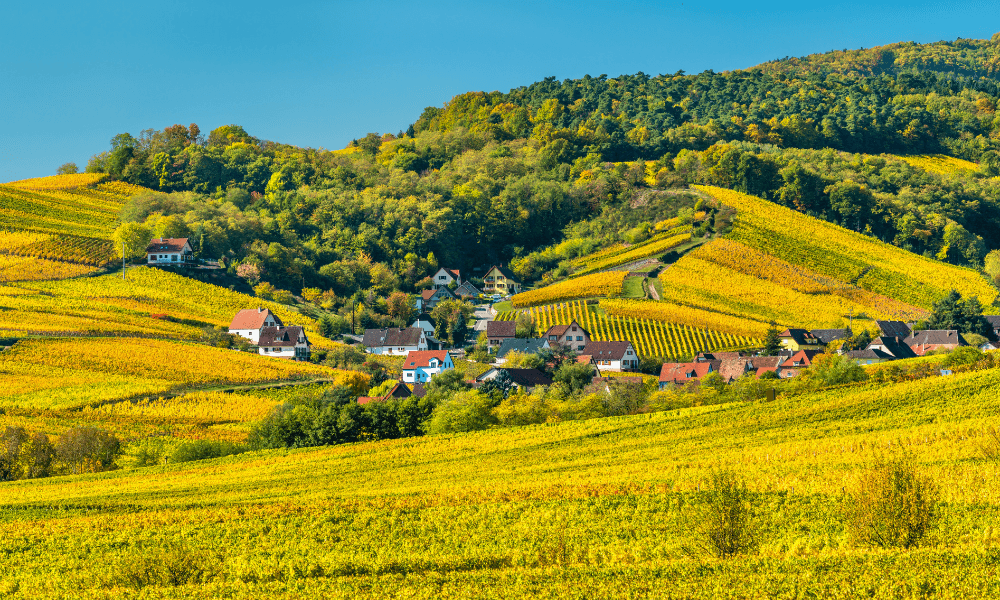 Haut-Rhin (1)