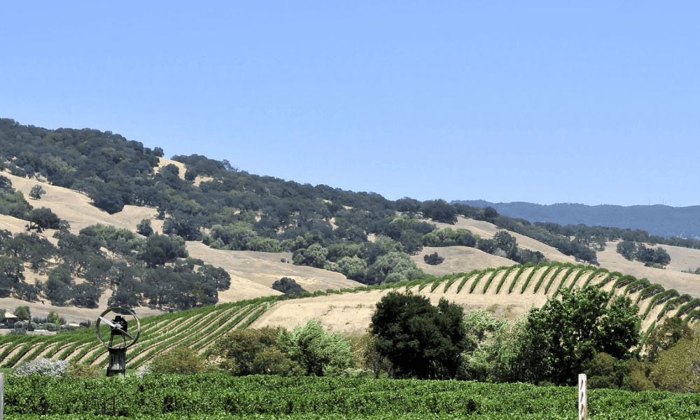 Calistoga  2