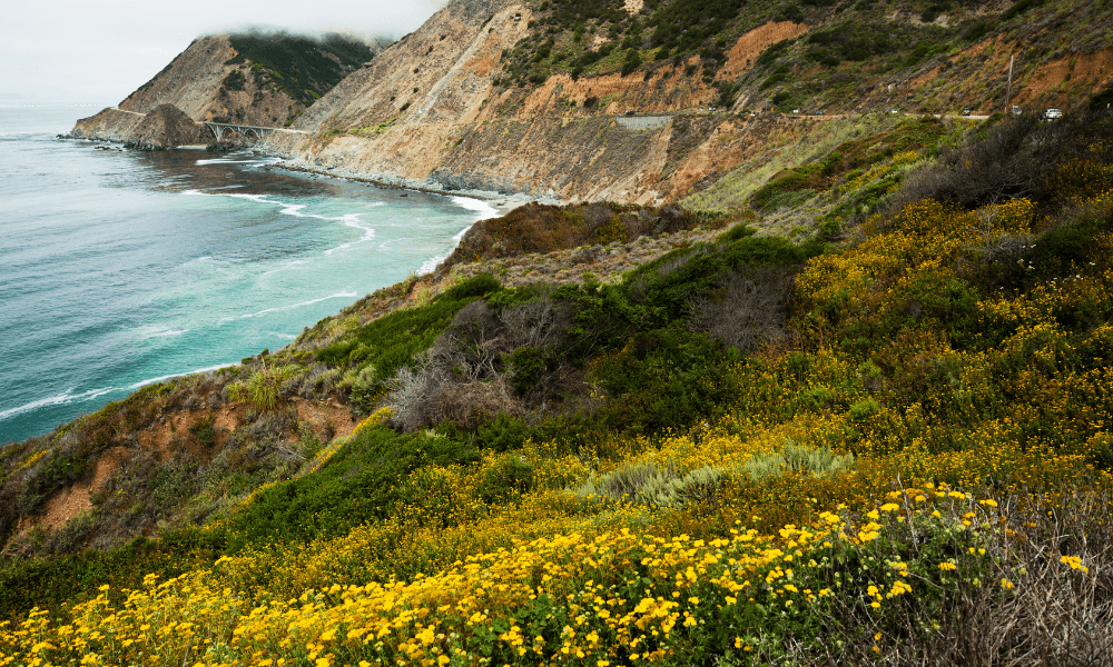 Central Coast
