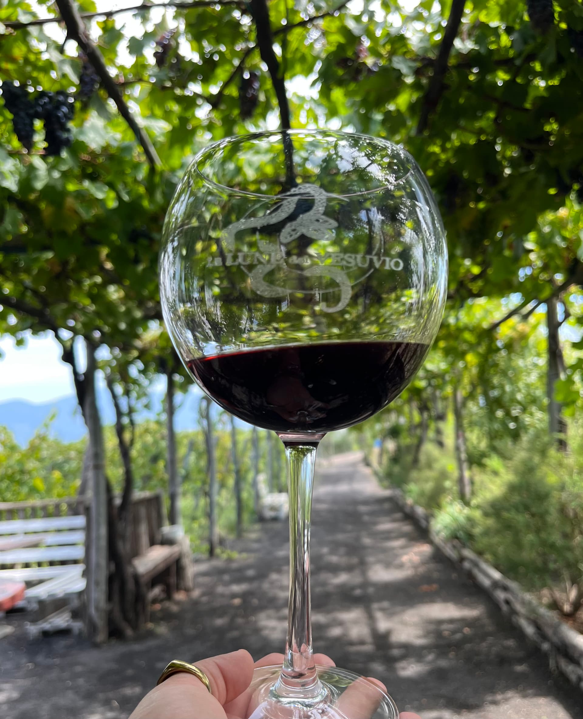 Tenuta Le Lune del Vesuvio Highlight