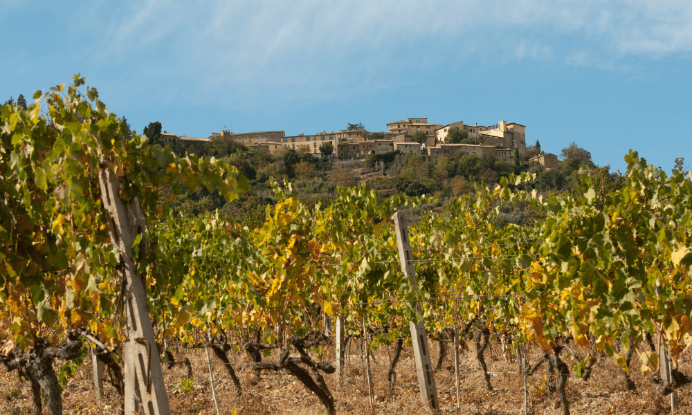 Montalcino 2