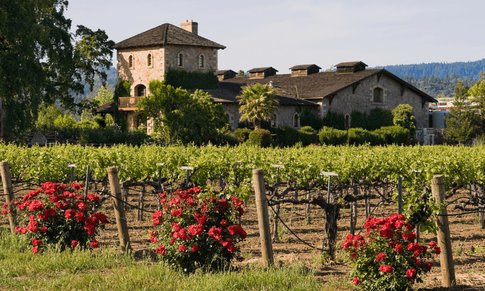 Napa Valley 3