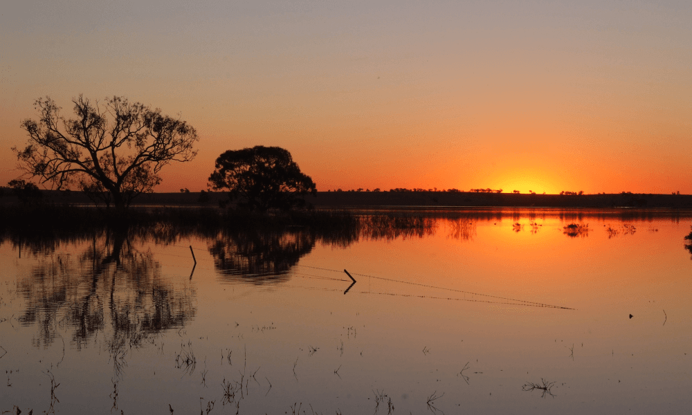 Riverina