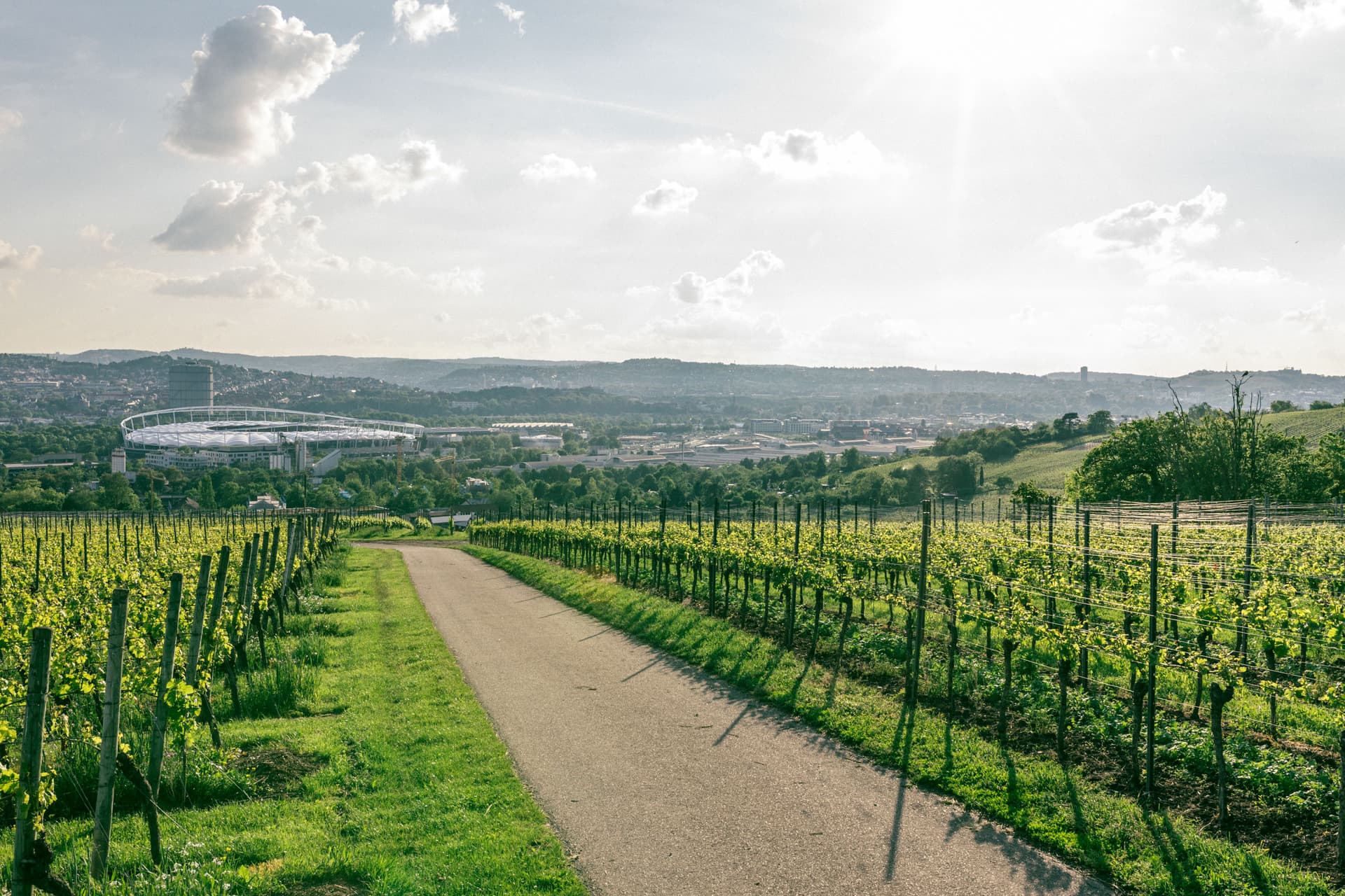 Weinmanufaktur Untertürkheim photo 5