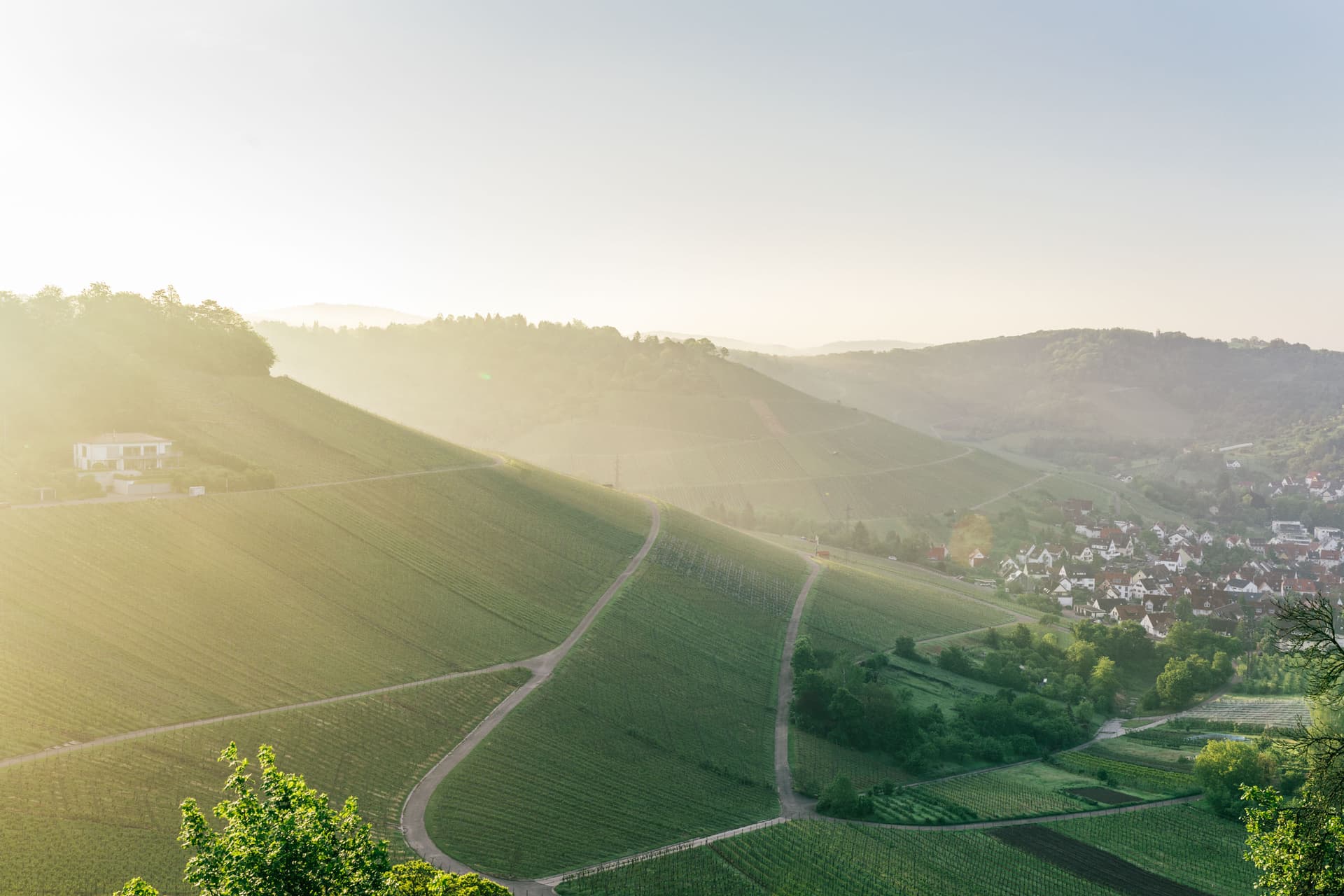 Weinmanufaktur Untertürkheim highlight