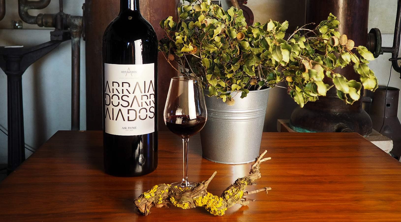 Destacado de ASL Tomé Winery
