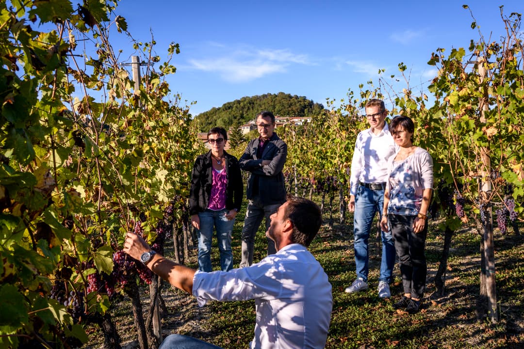 Piedmont Wine Journey at Vini Olivetta photo 5