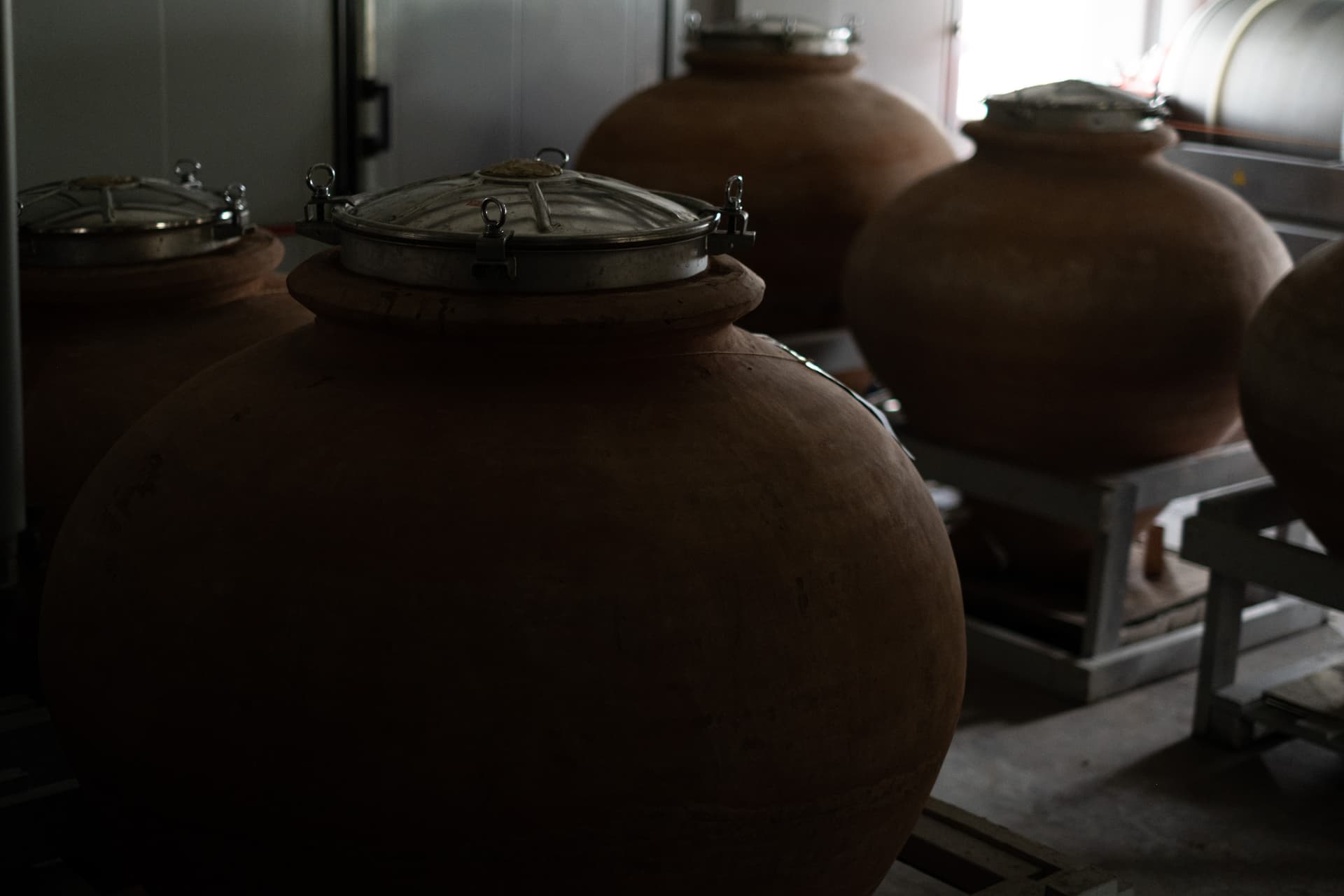Todo sobre las ánforas en Cirelli Wines foto 5