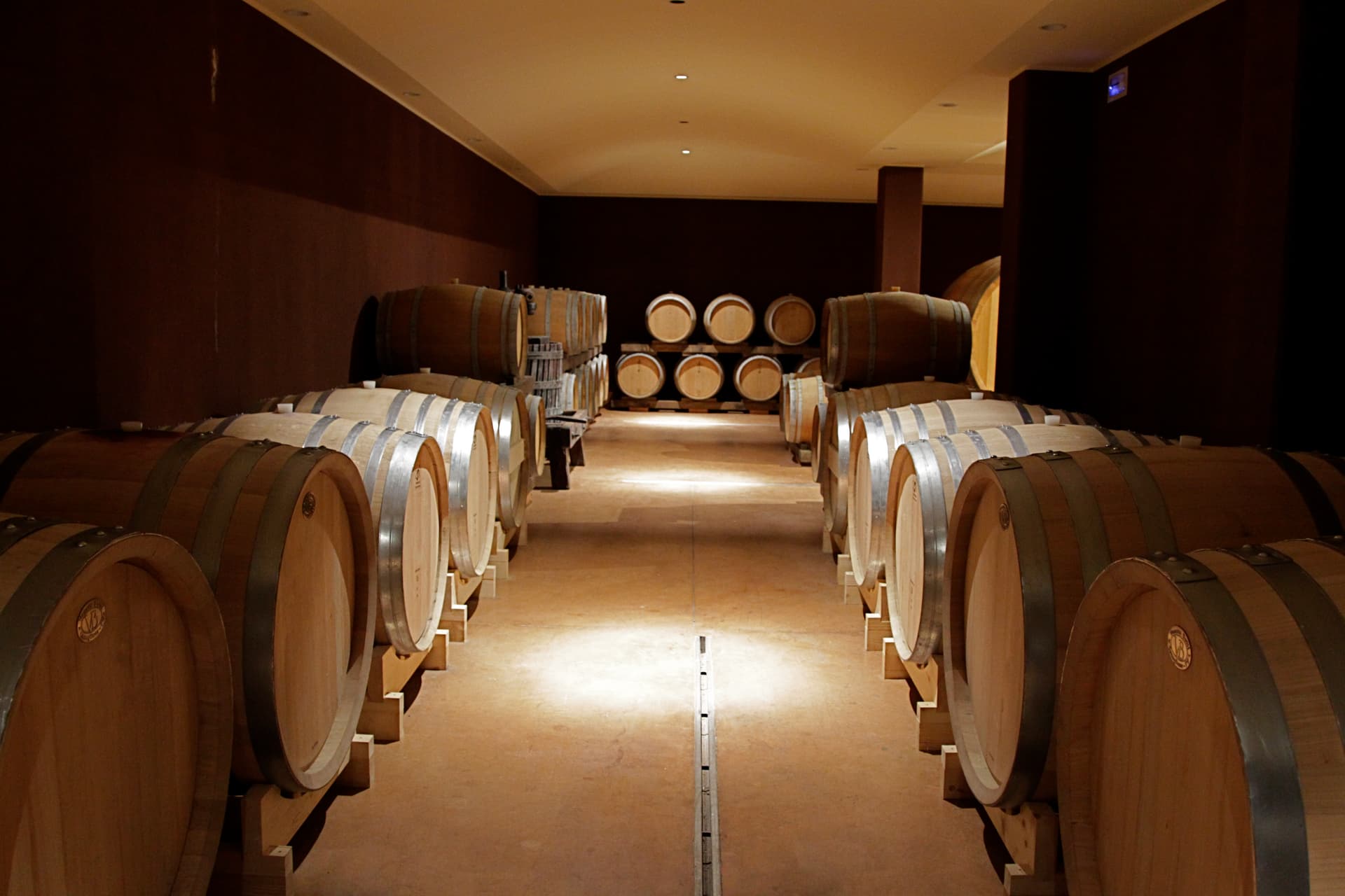 Tenuta La Cà: A Modern Winery in Veneto Foto 3